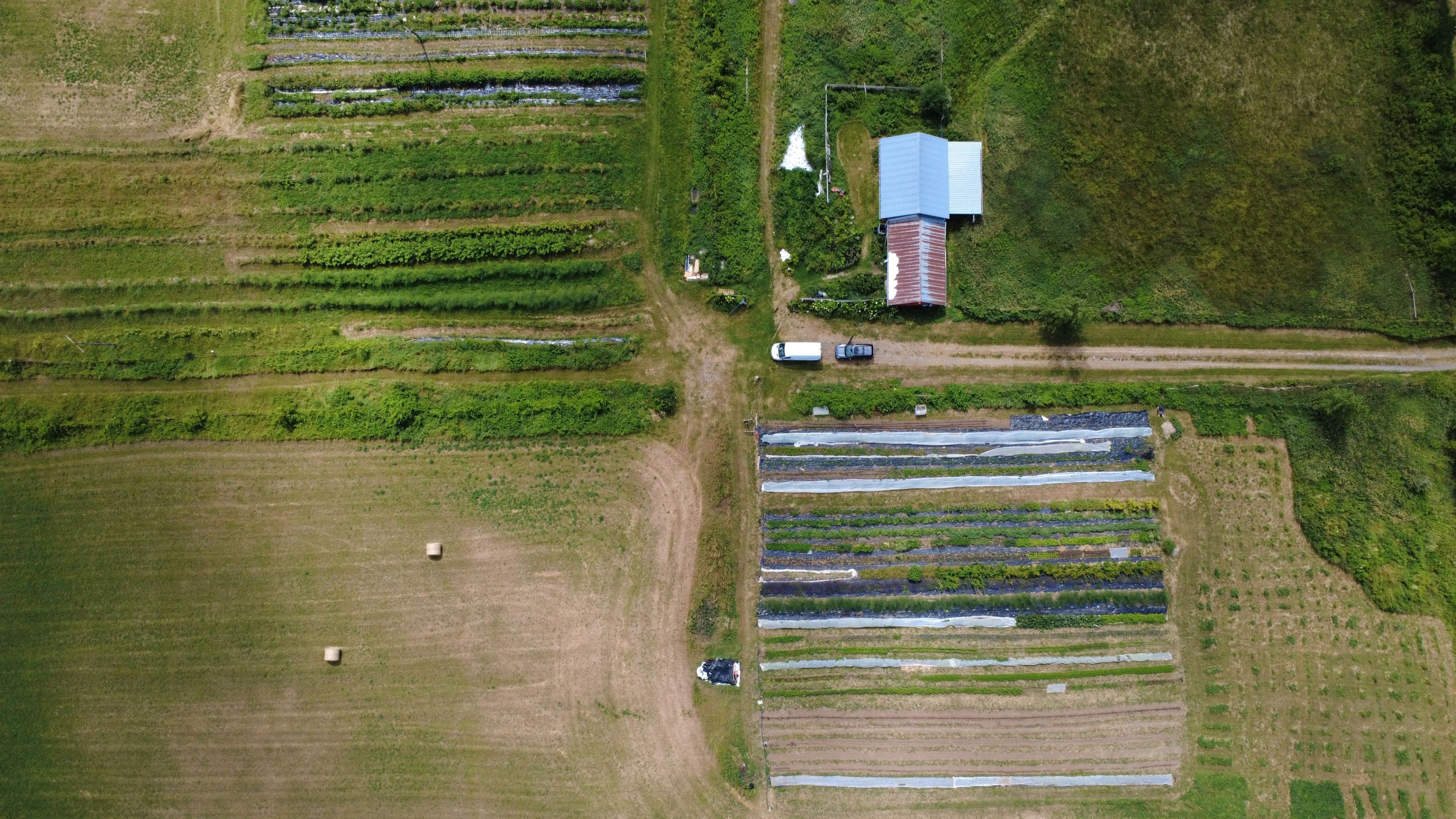 239 Concession 11w, Trent Hills, On K0l 1y0