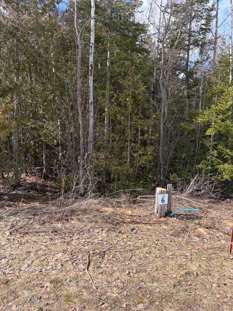 11 Lakeside Woods Crescent, Saugeen Shores, On N0h 2c0