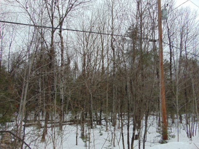 Lot 11 Plan 580 North Drive, Dysart Et Al, On K0m 1s0