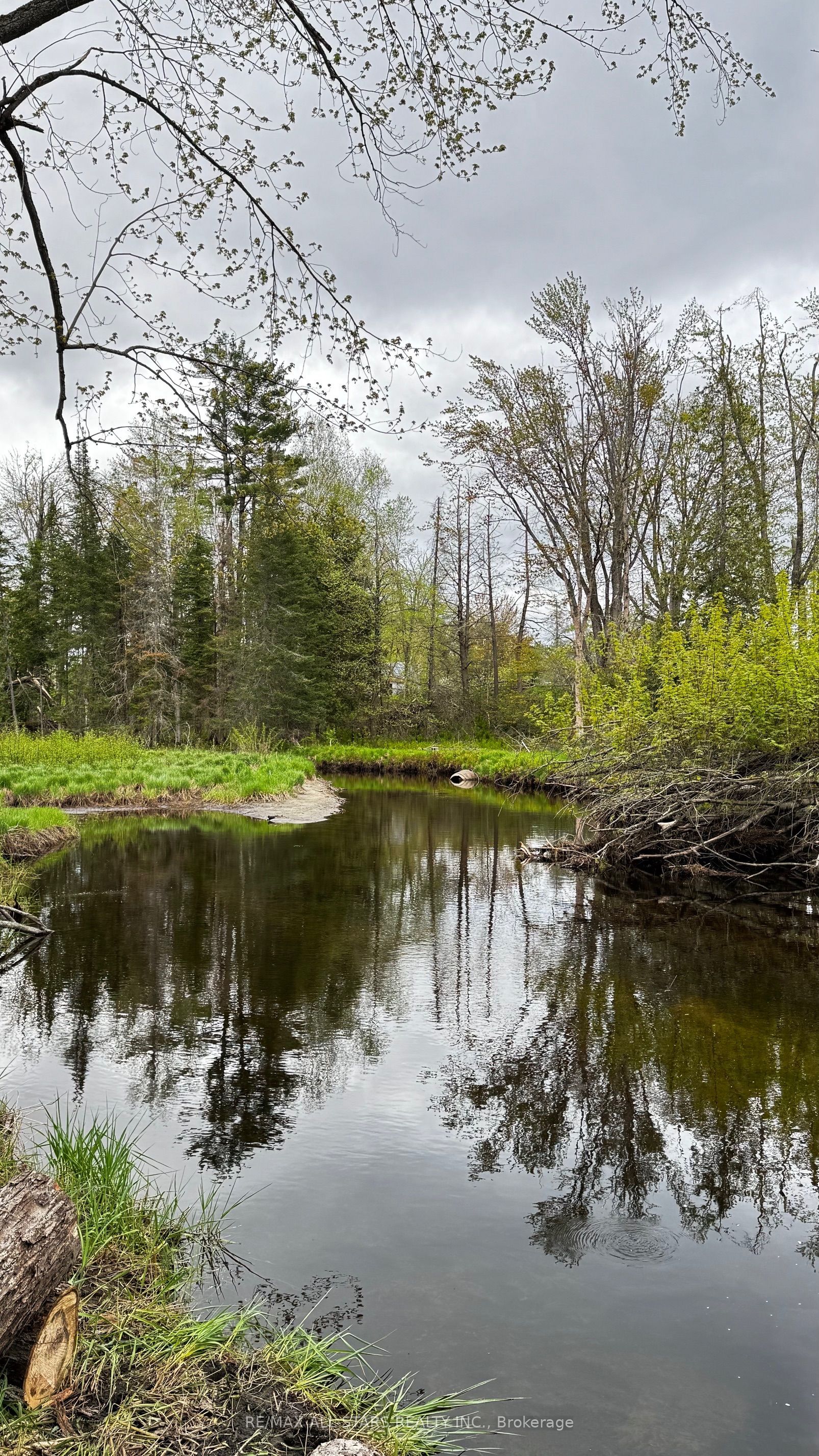 2348 Northeys Bay Road, North Kawartha, On K0l 2h0