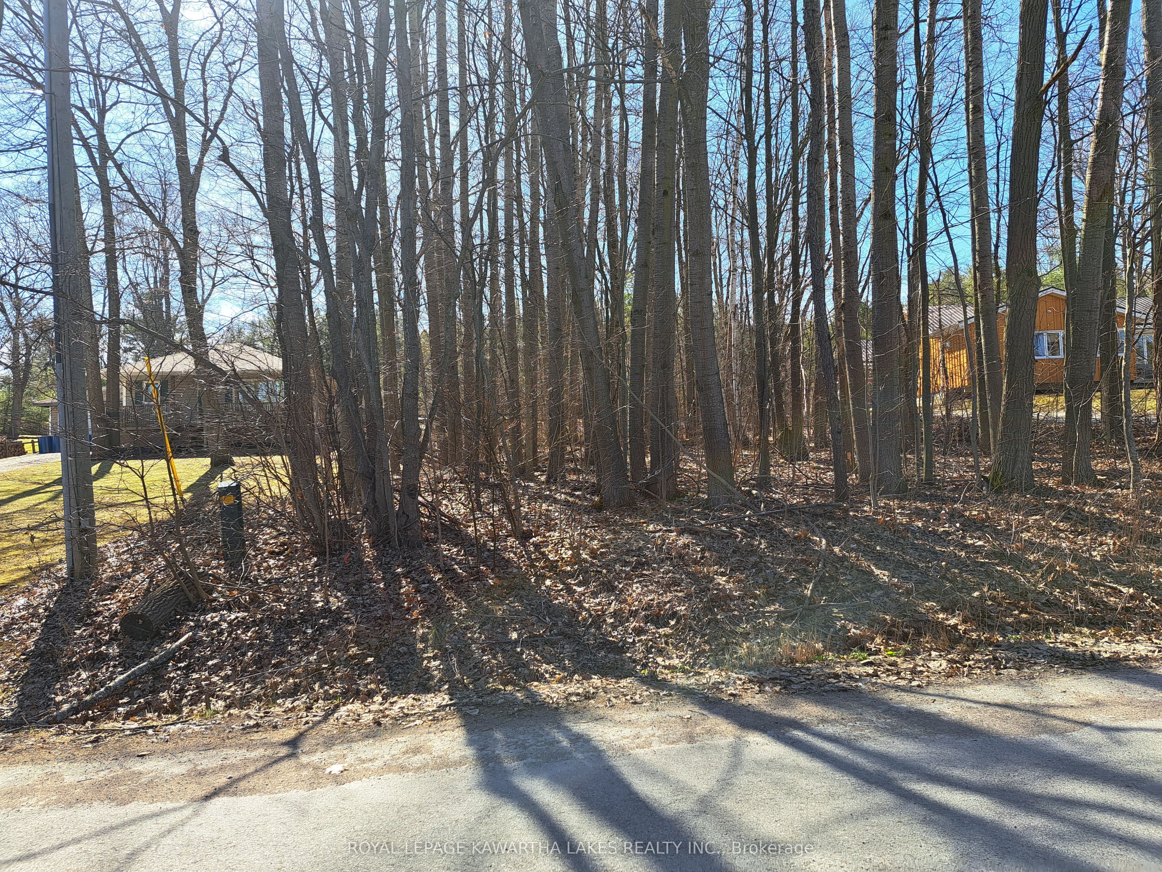 0 Poplar Drive, Hamilton Township, On K0l 1e0