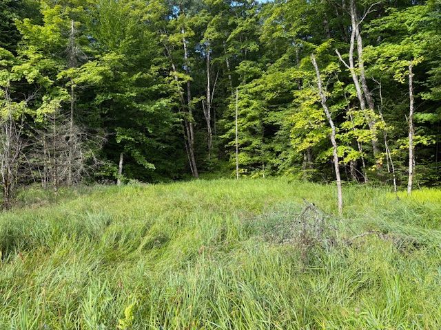 1788 Old Muskoka Road, Huntsville, On P0b 1m0