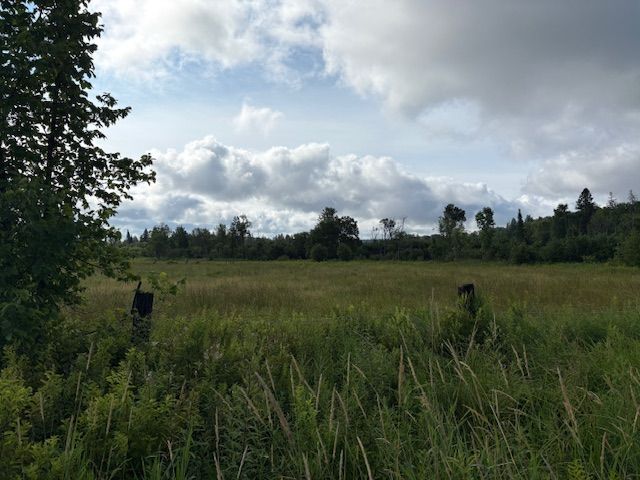 0 Old Muskoka To The West Side Of #1105 Road, Huntsville, On P0b 1m0