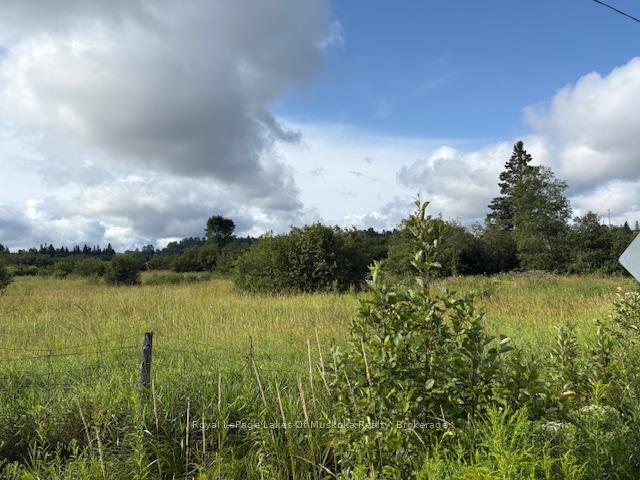 0 Old Muskoka To The East Side Of #1105 Road, Huntsville, On P0b 1m0