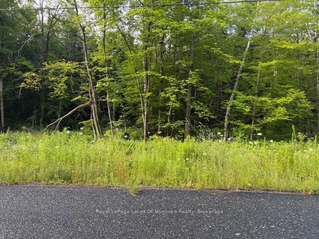 47 Summer Leigh Trail, Huntsville, On P0b 1m0