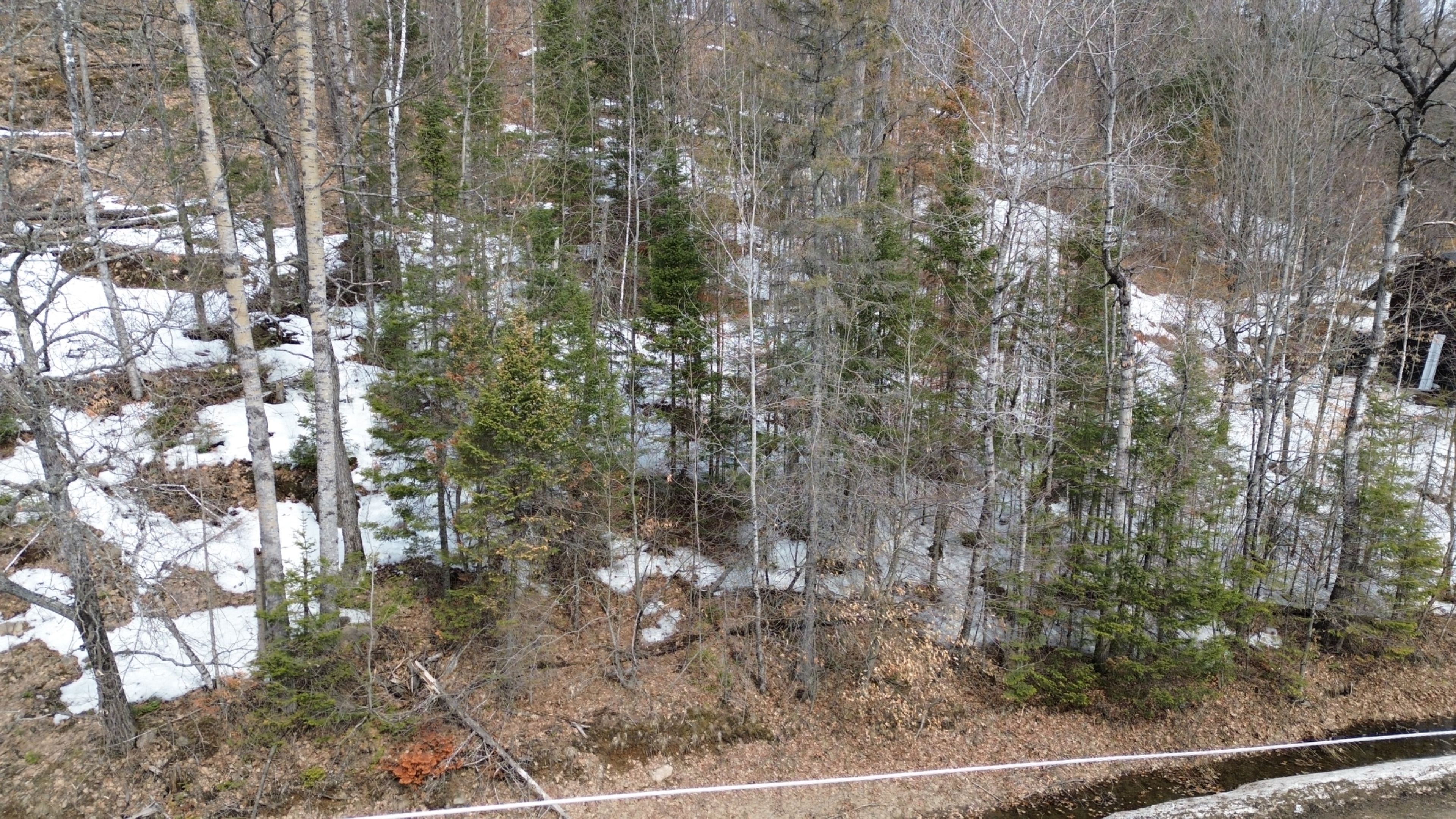 0 Trapper'S Trail Road, Dysart Et Al, On K0m 1s0