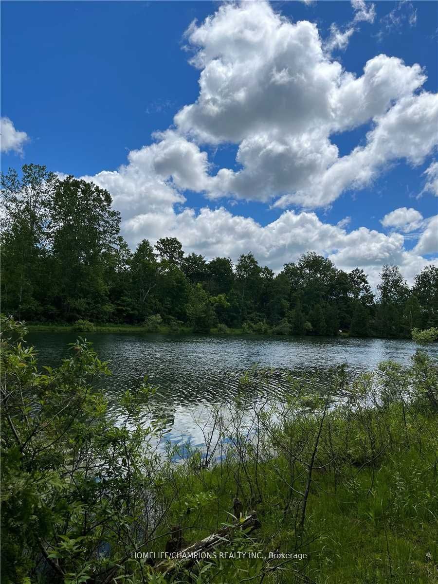 248 S Pinnacle Hill Road Lot 88, Alnwick/Haldimand, On K0k 1m0