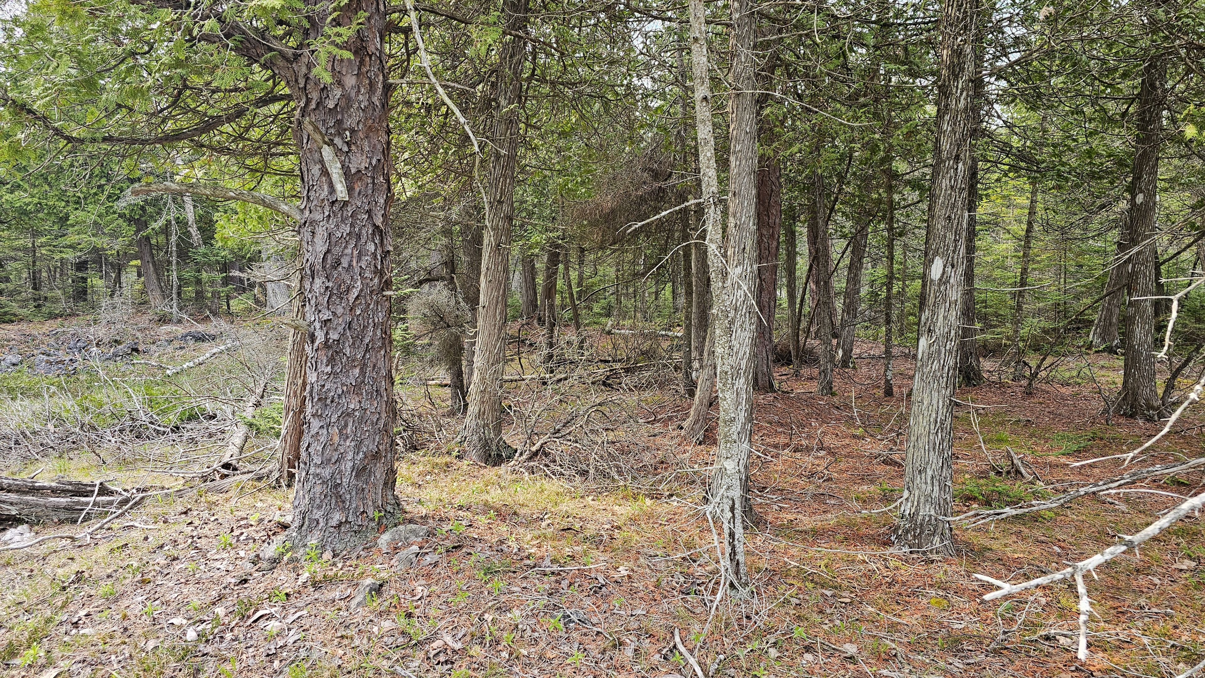 Lt 255 Pedwell Pt. Drive, Northern Bruce Peninsula, On N0h 2r0