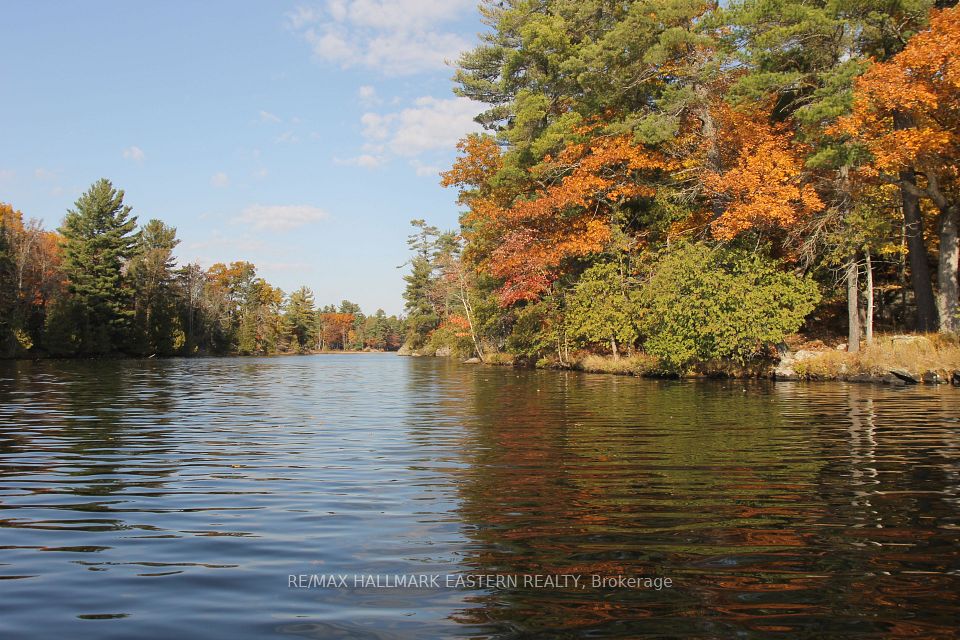 C280 Lower Buckhorn Lake Lot 1, Trent Lakes, On K0l 1j0