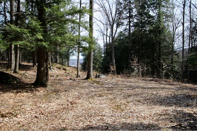 22 Gryffin Bluffs Lane 6, Huntsville, On P0b 1m0