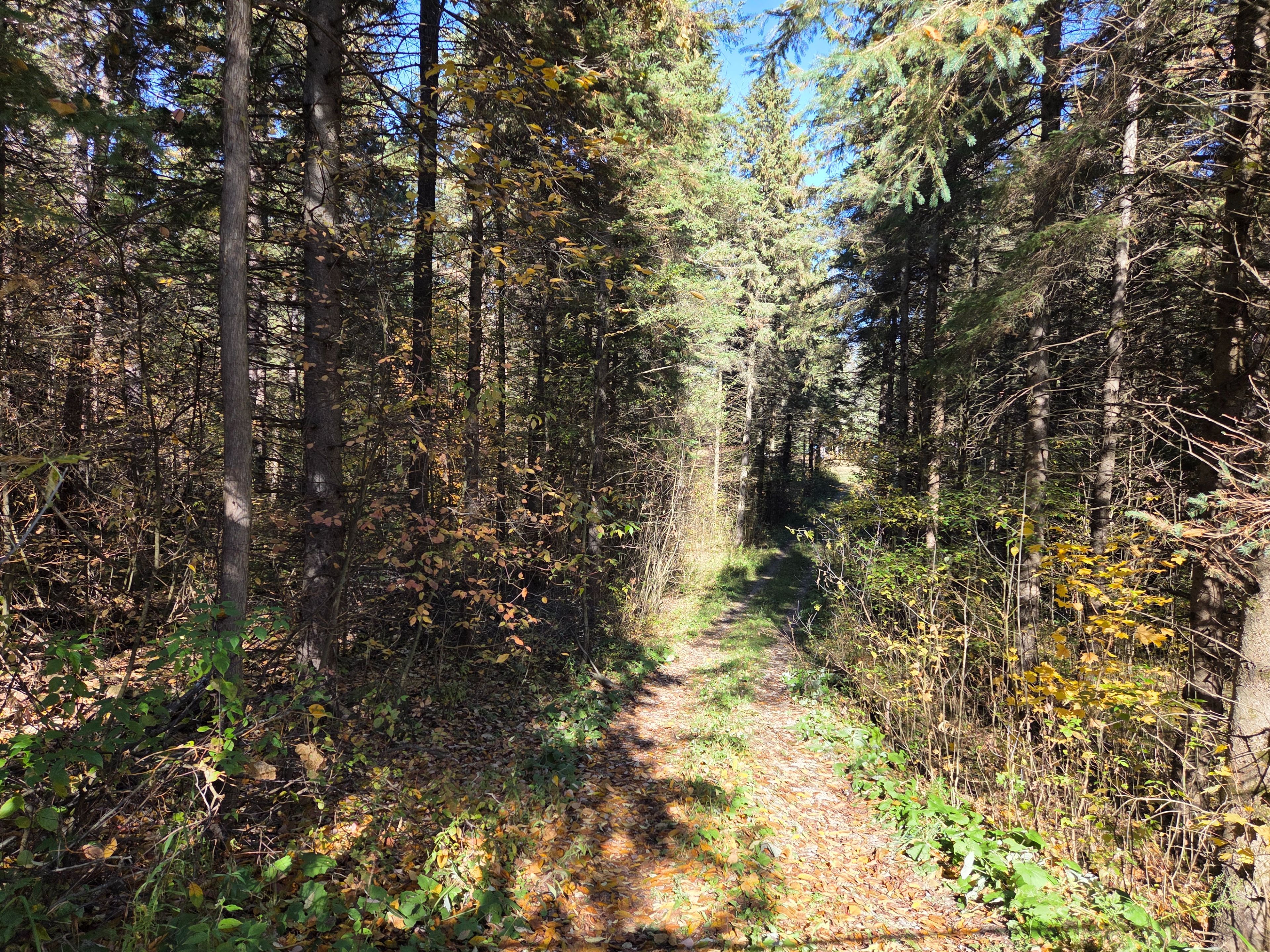 627383 15 Side Road, Mulmur, On L0n 1m0