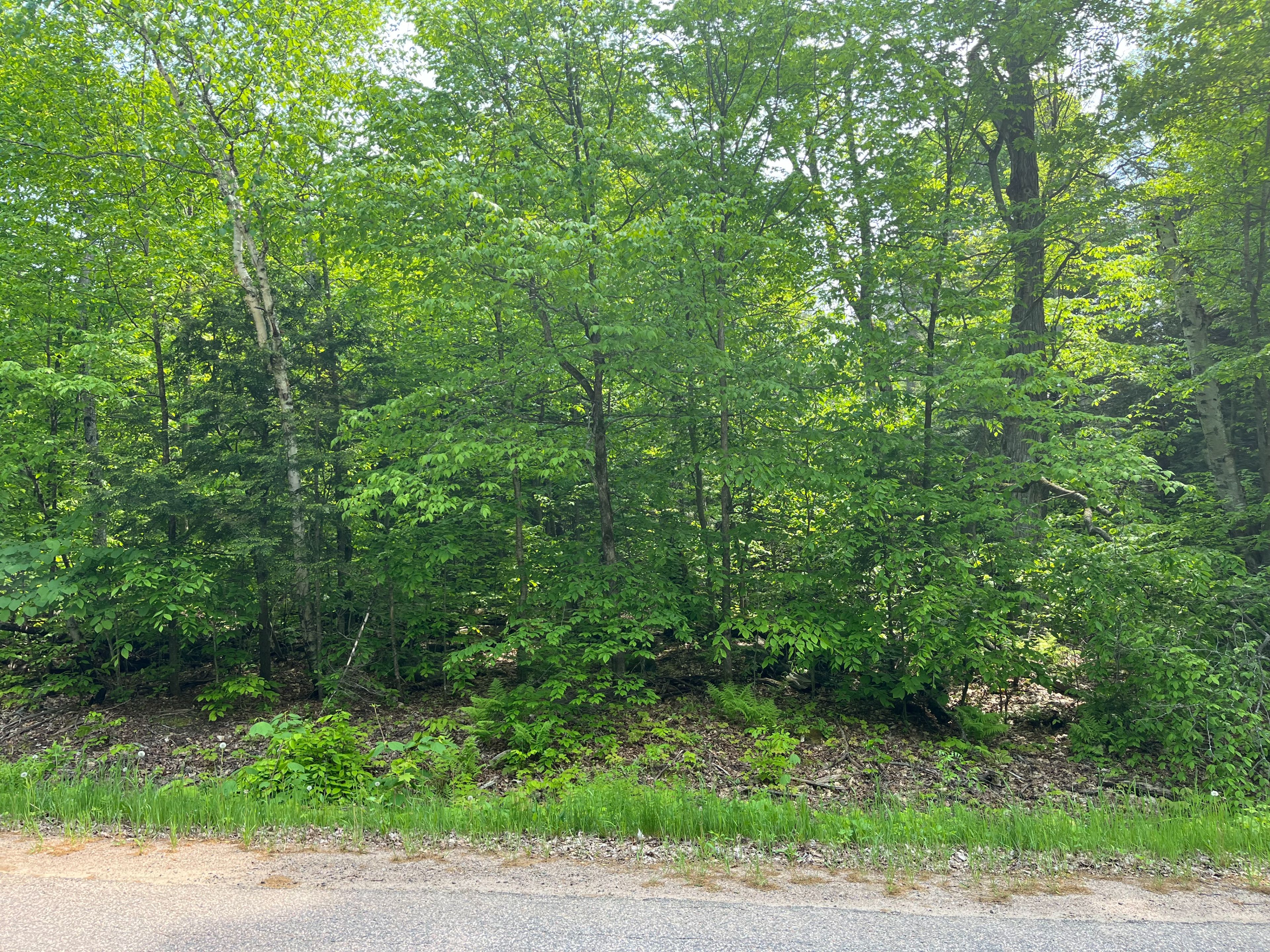387 Sunny Hill Road, Madawaska Valley, On K0j 1b0
