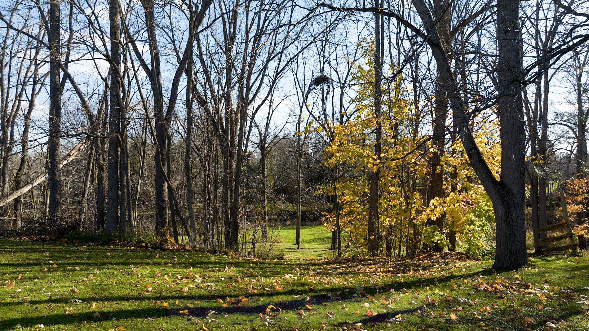 Pt Lt107 Victoria Terrace, Central Huron, On N0m 1l0