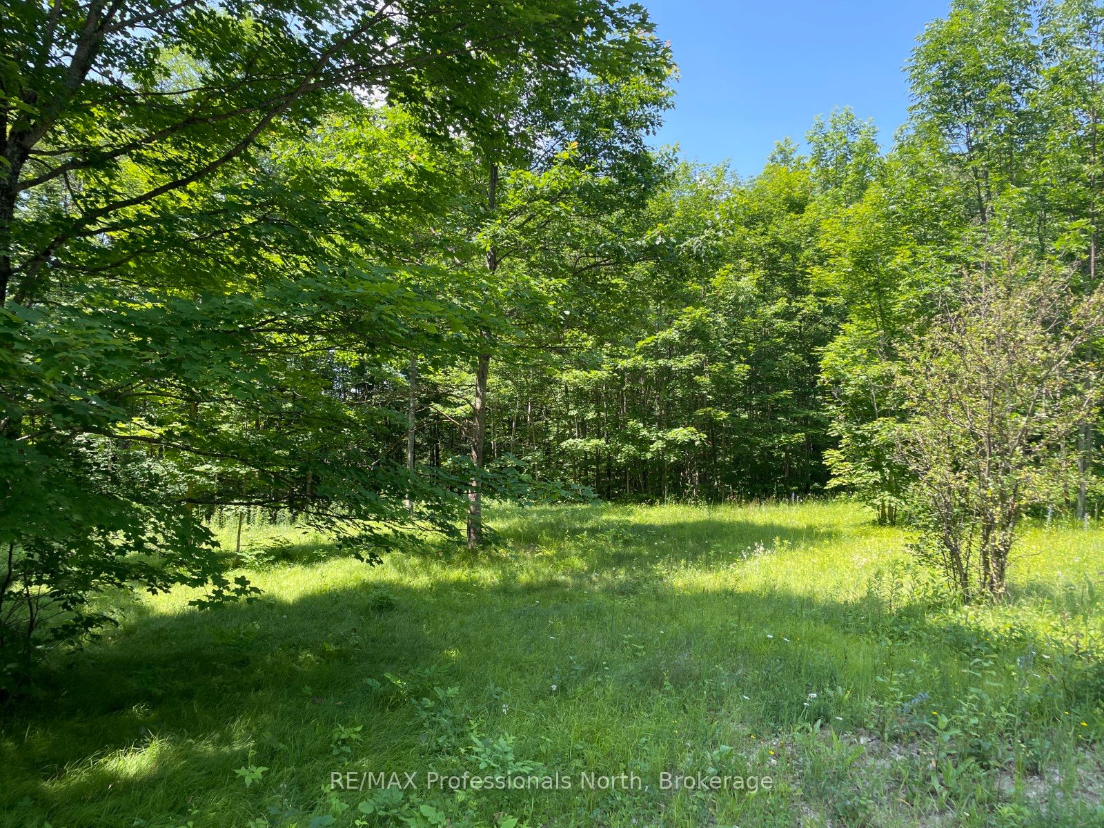 0 Glamor Lake Road, Highlands East, On K0m 1r0