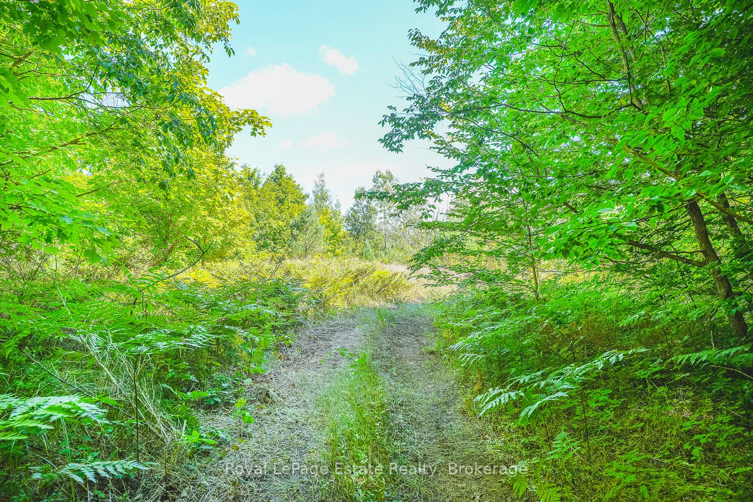 Lot 2 Sixth Street, South Bruce Peninsula, On N0h 2g0