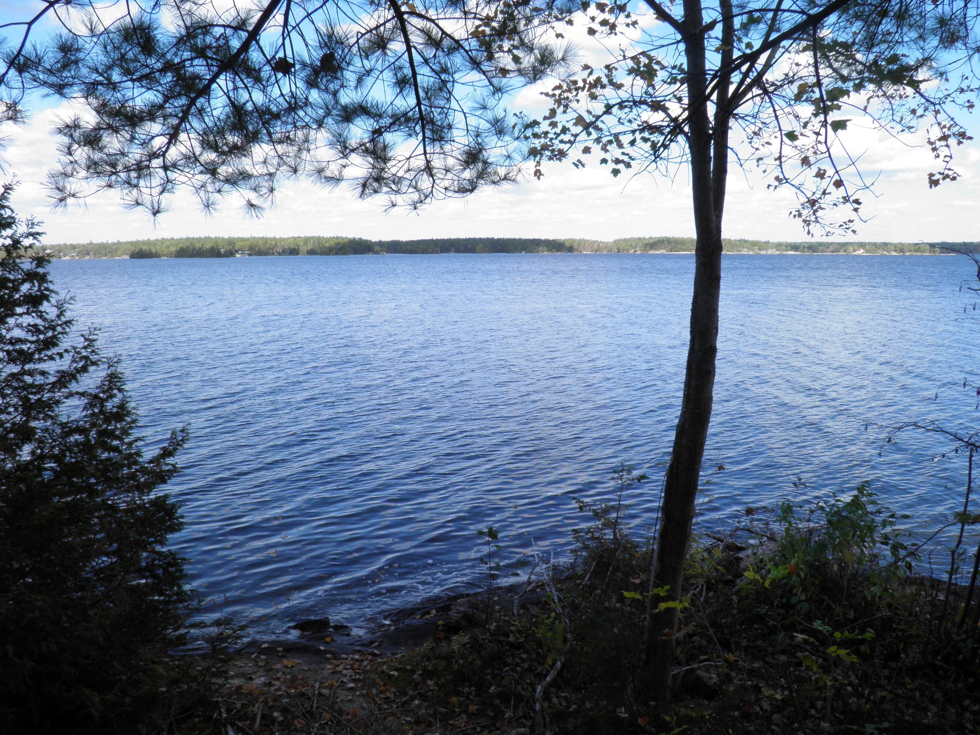 1420 Island 76 Stoney Lake, North Kawartha, On K0l 2h0
