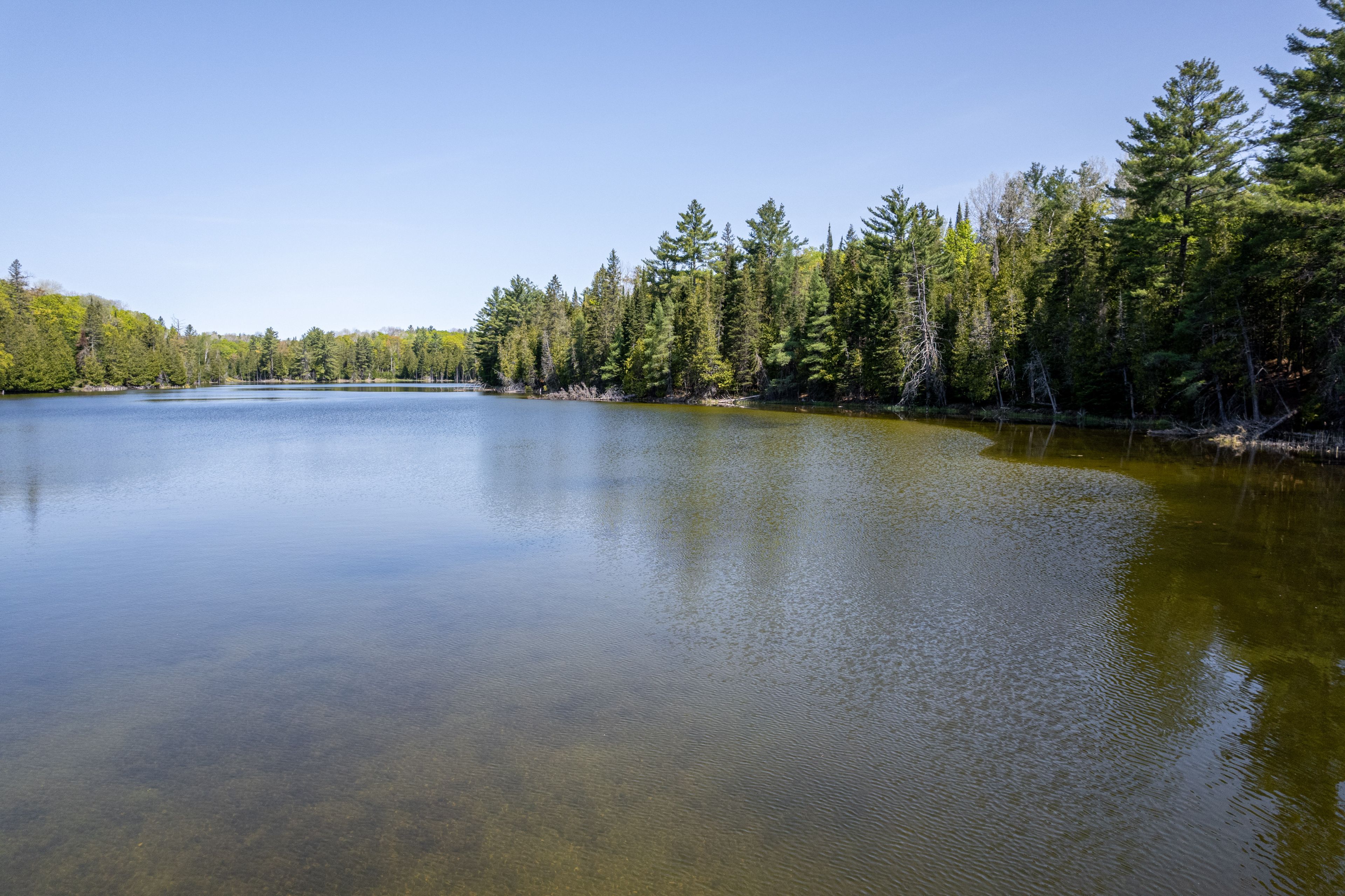 0 Johnson Road, North Kawartha, On K0l 1a0