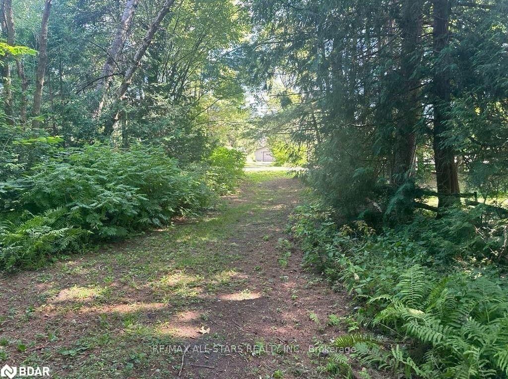 Lot 45 River Road, Kawartha Lakes, On K0m 1n0