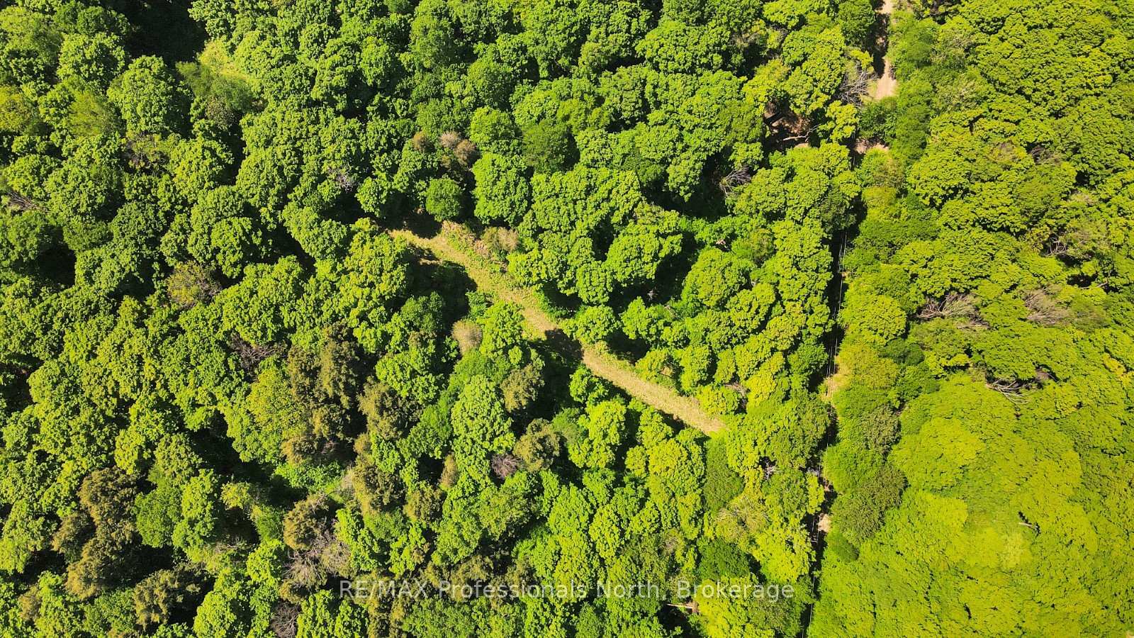 Lot 166 Glen Lake Court, Dysart Et Al, On K0m 1m0