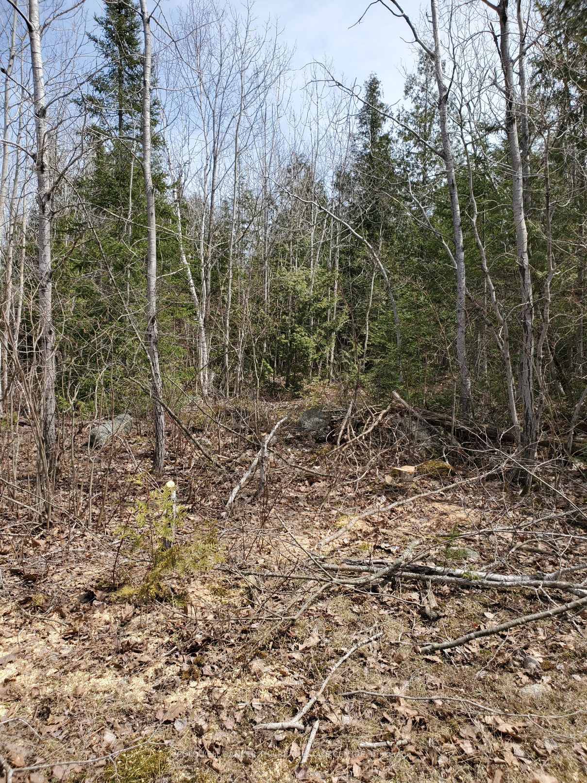 13476 N Hwy. 542 Highway, Gordon/Barrie Island, On P0p 1h0