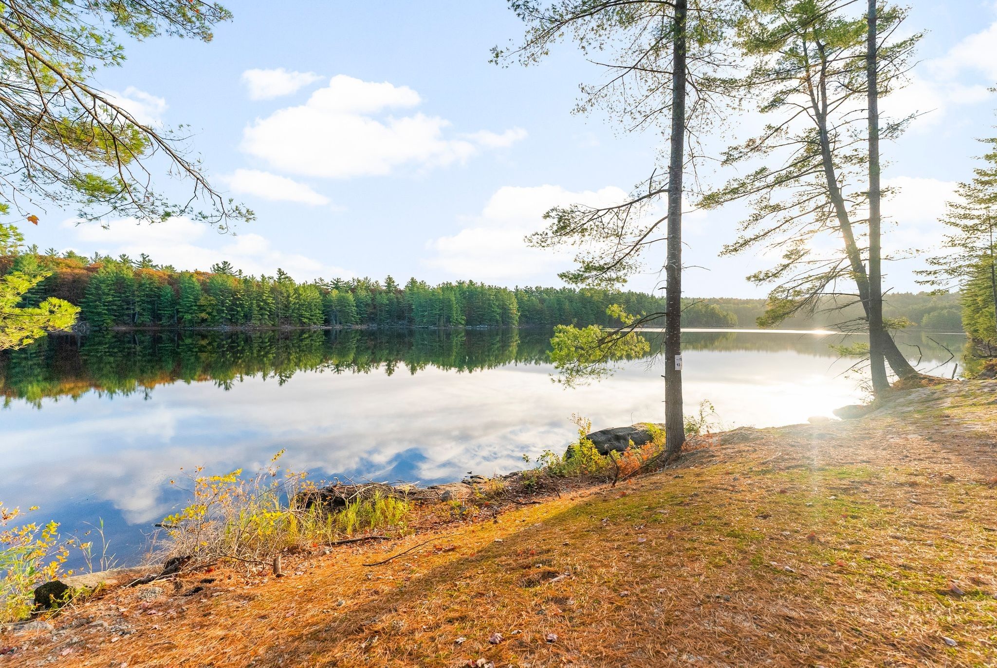 12 Voyageur Bay Trail, Whitewater Region, On K0j 1v0