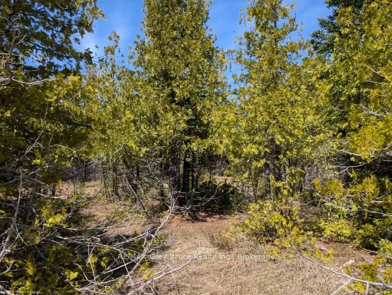 0 Sutter Road, Northern Bruce Peninsula, On N0h 2t0