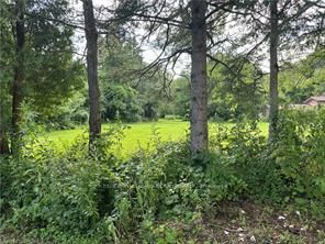 1161 Edgewood Road, Hamilton, On L8b 1a1