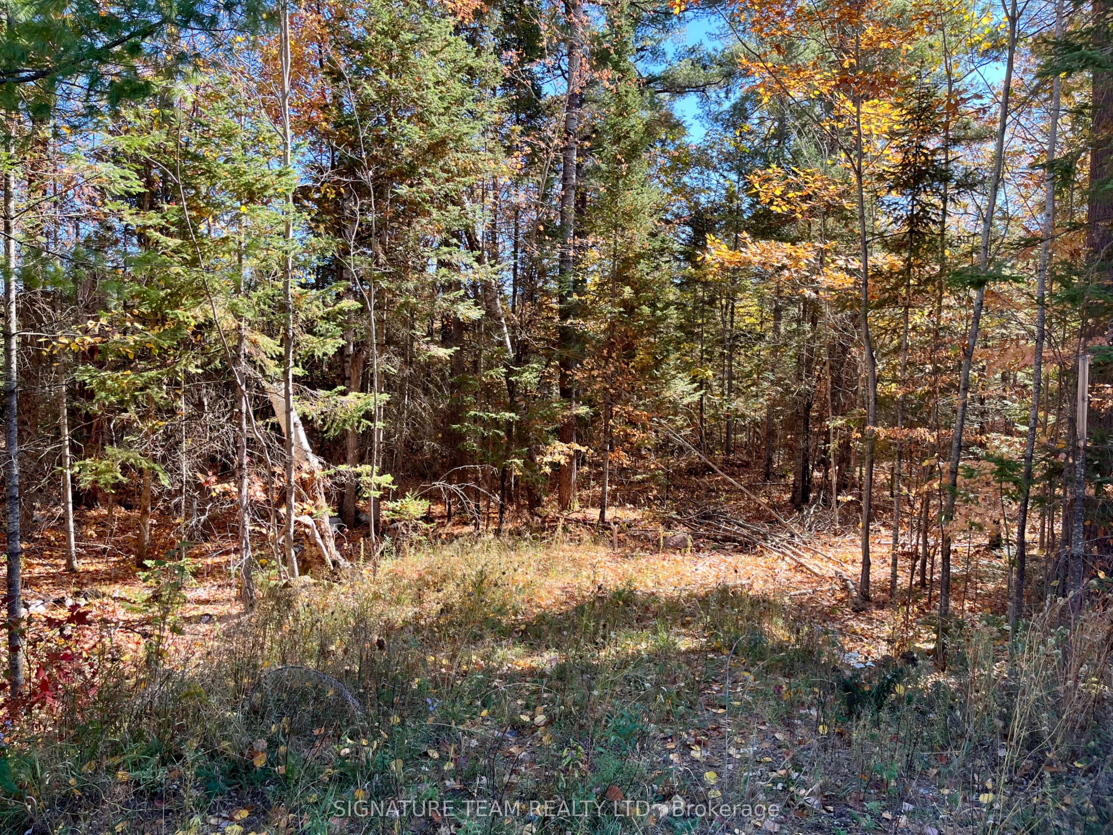 0 Foymount Road, Bonnechere Valley, On K0j 1t0