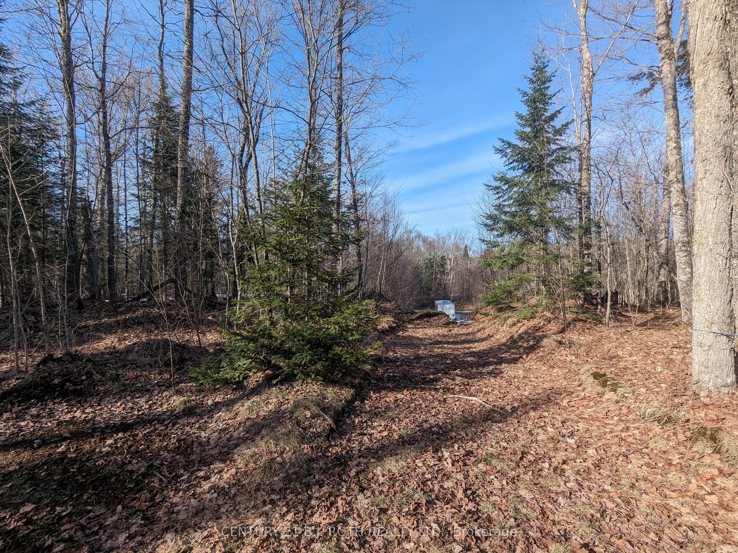 11146 Highway 118, Algonquin Highlands, On K0m 1j1