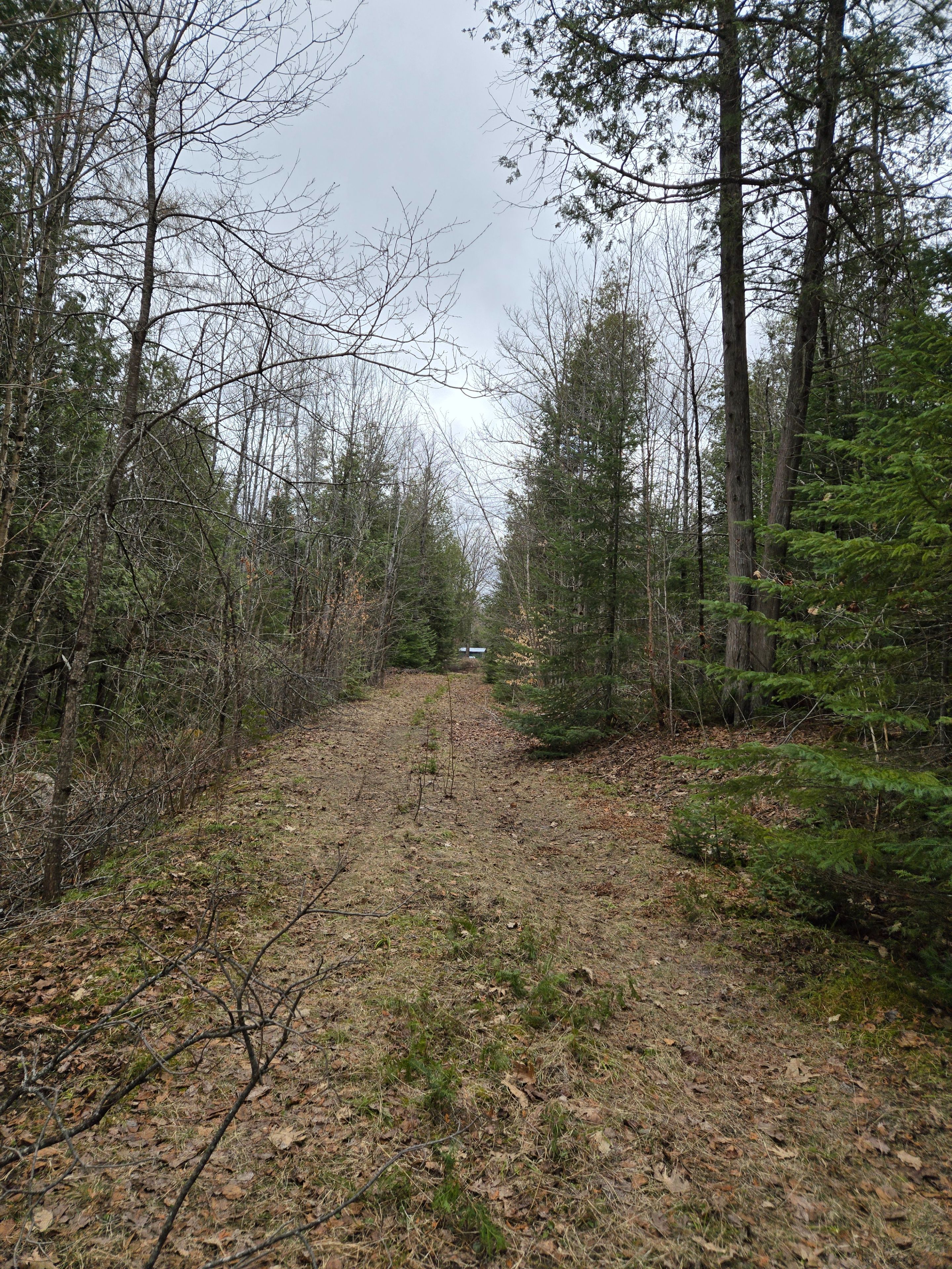 40 Marquardt Road, Addington Highlands, On K0h 1k0