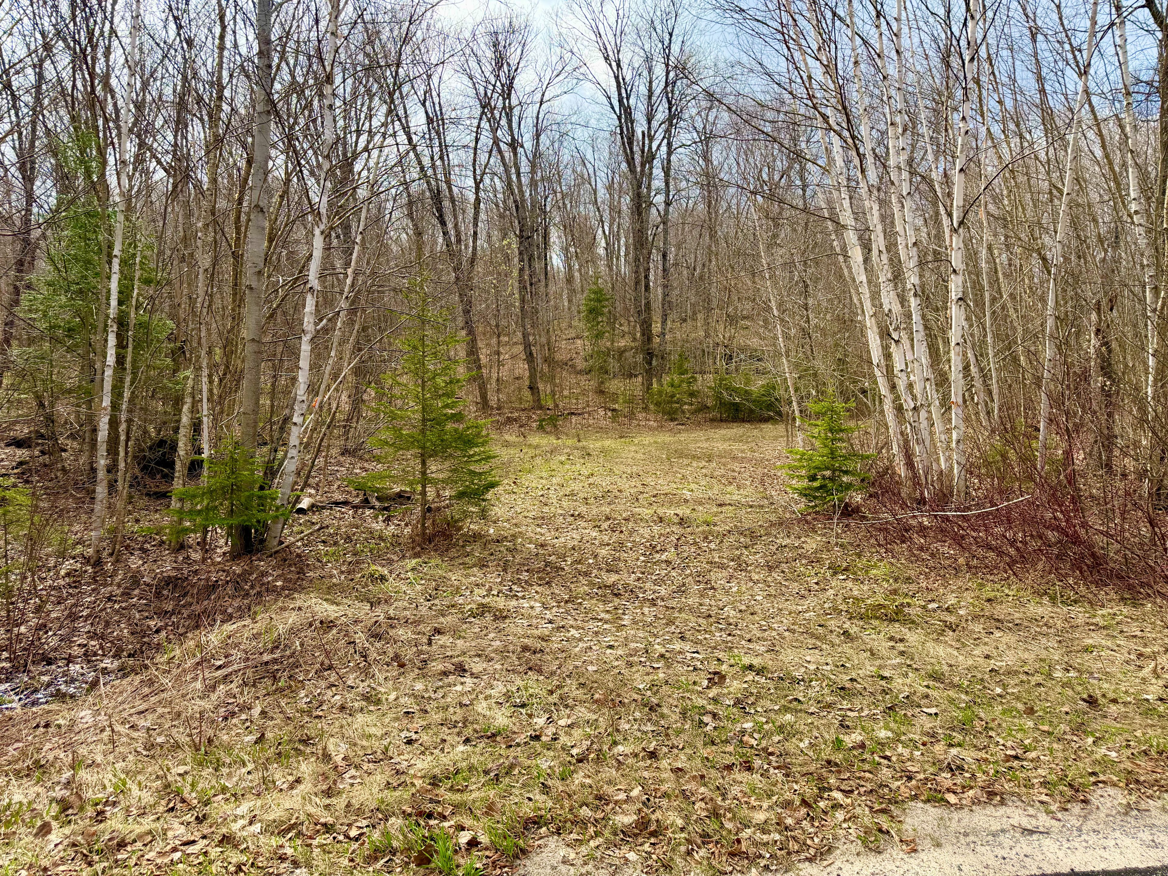 0-A S Maple Drive S, Parry Sound Remote Area, On P0h 1s0