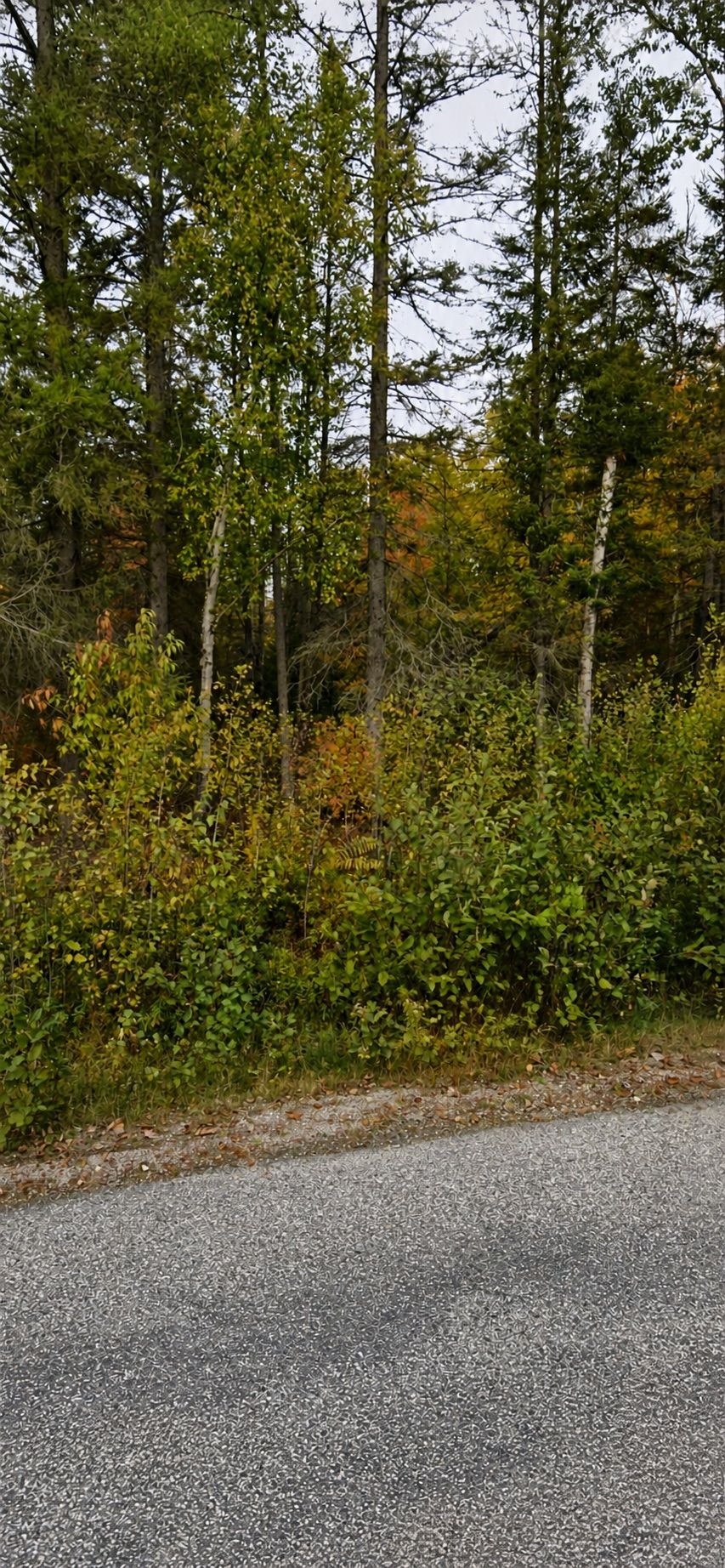 None Sweezey Street, Powassan, On P0h 2l0