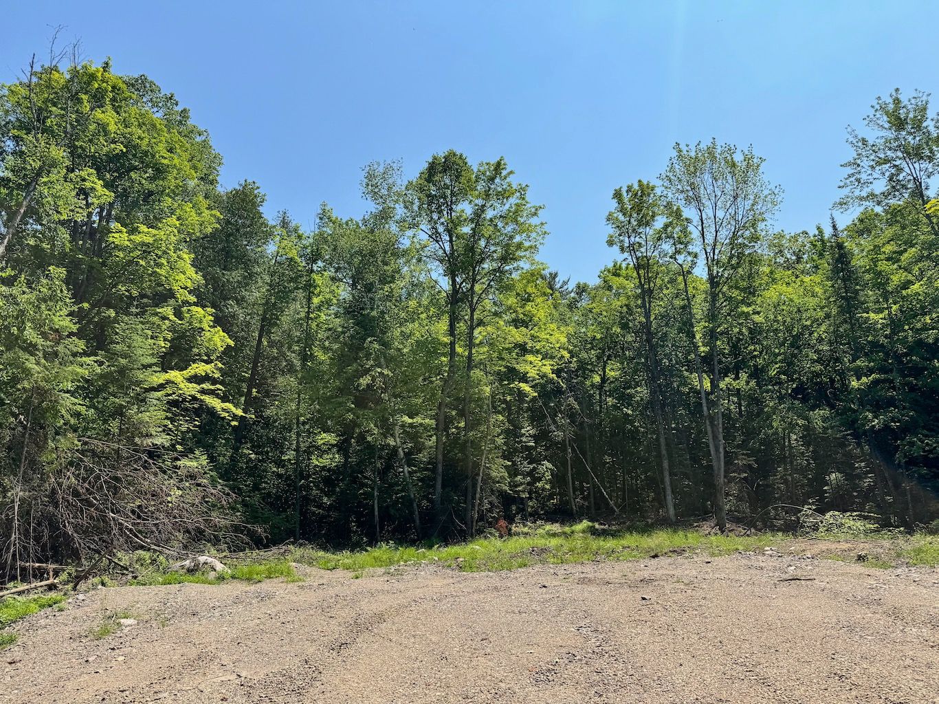 Lot 6 Lakewoods Drive, Madawaska Valley, On K0j 1b0