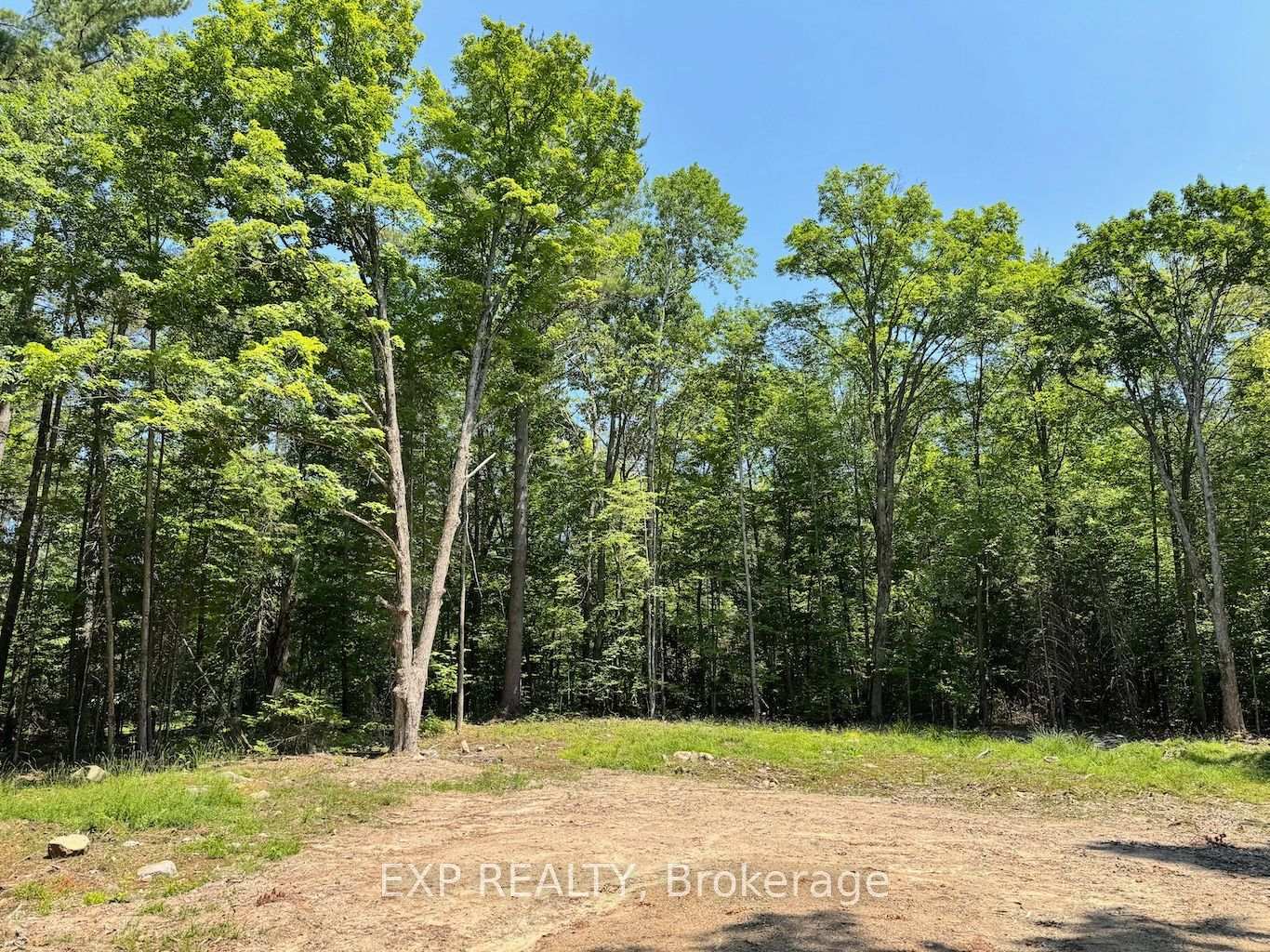 Lot 21 Lakewoods Drive, Madawaska Valley, On K0j 1b0