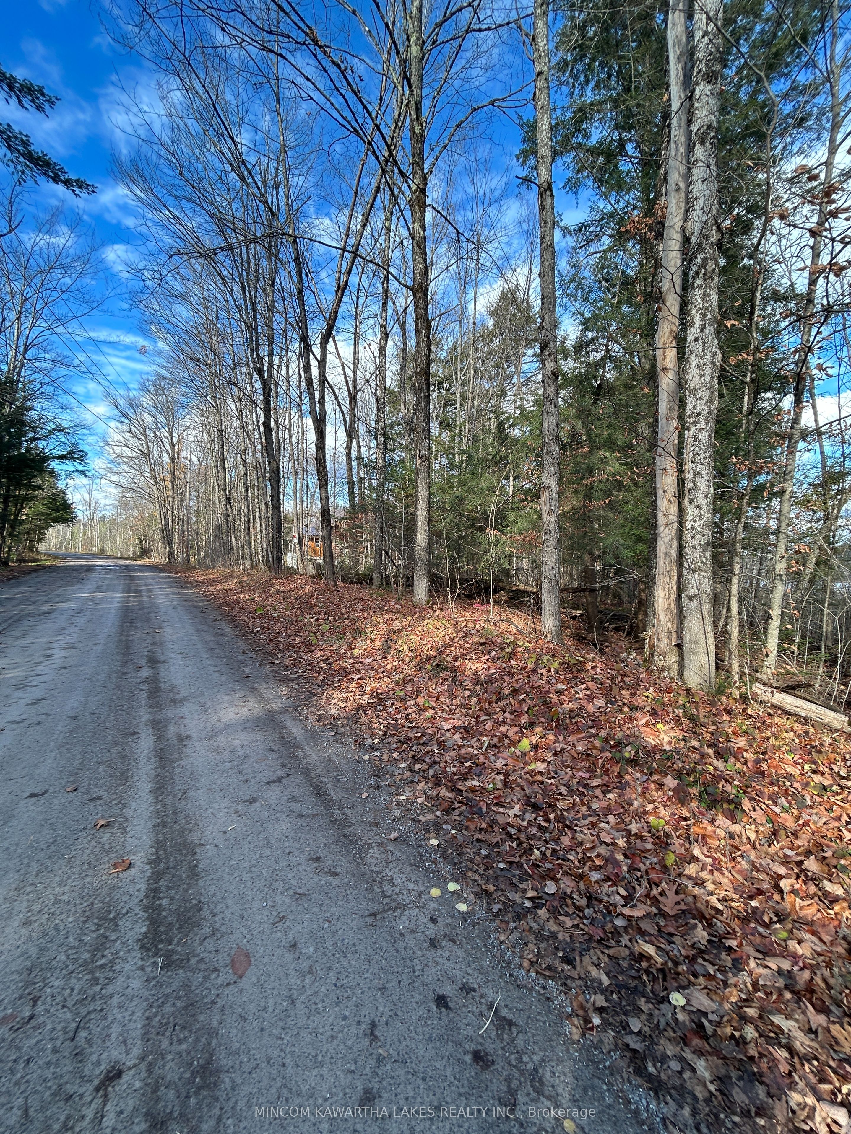 00 Mill Lake Road, North Kawartha, On K0l 1a0