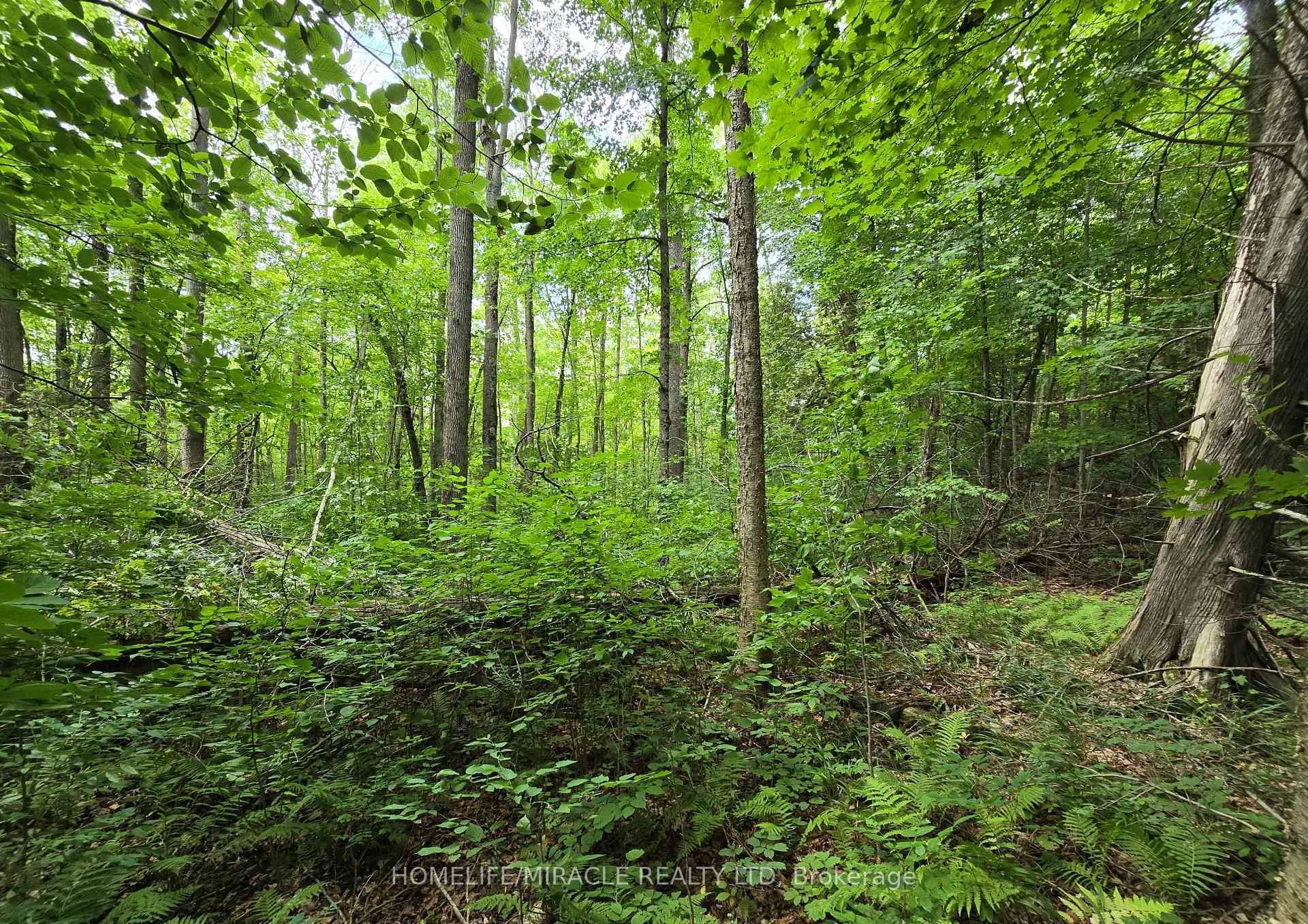 000 Cedar Sands Road, Rideau Lakes, On K0e 1n0