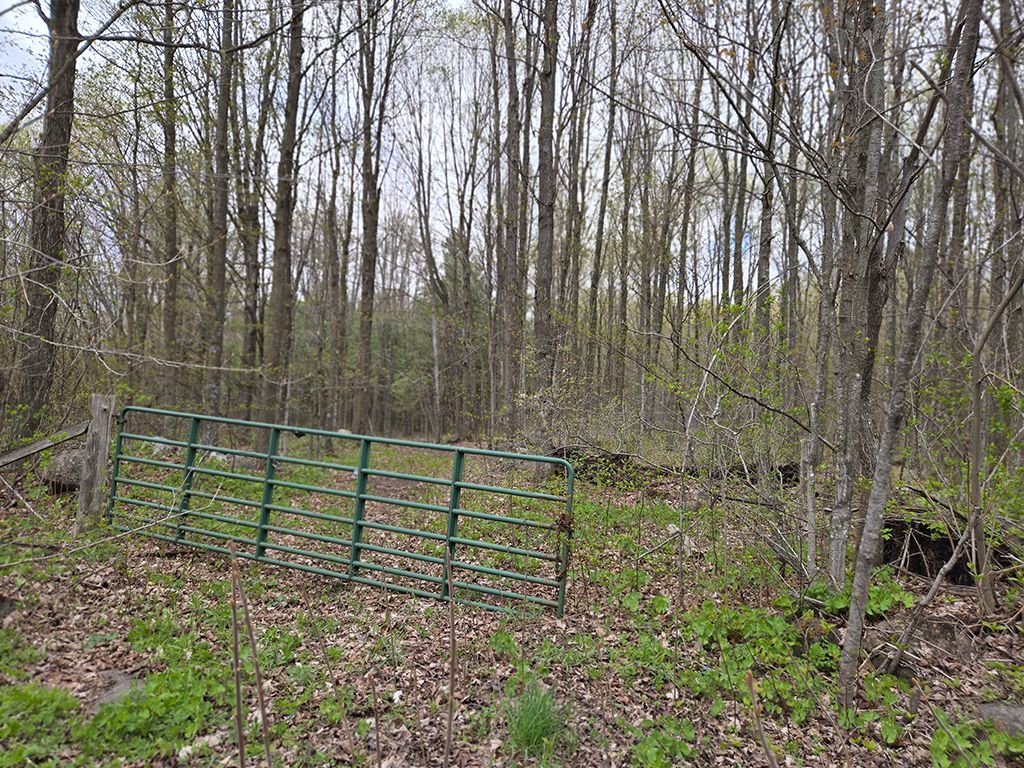 000 Concession 5 Road, North Glengarry, On K0c 1a0