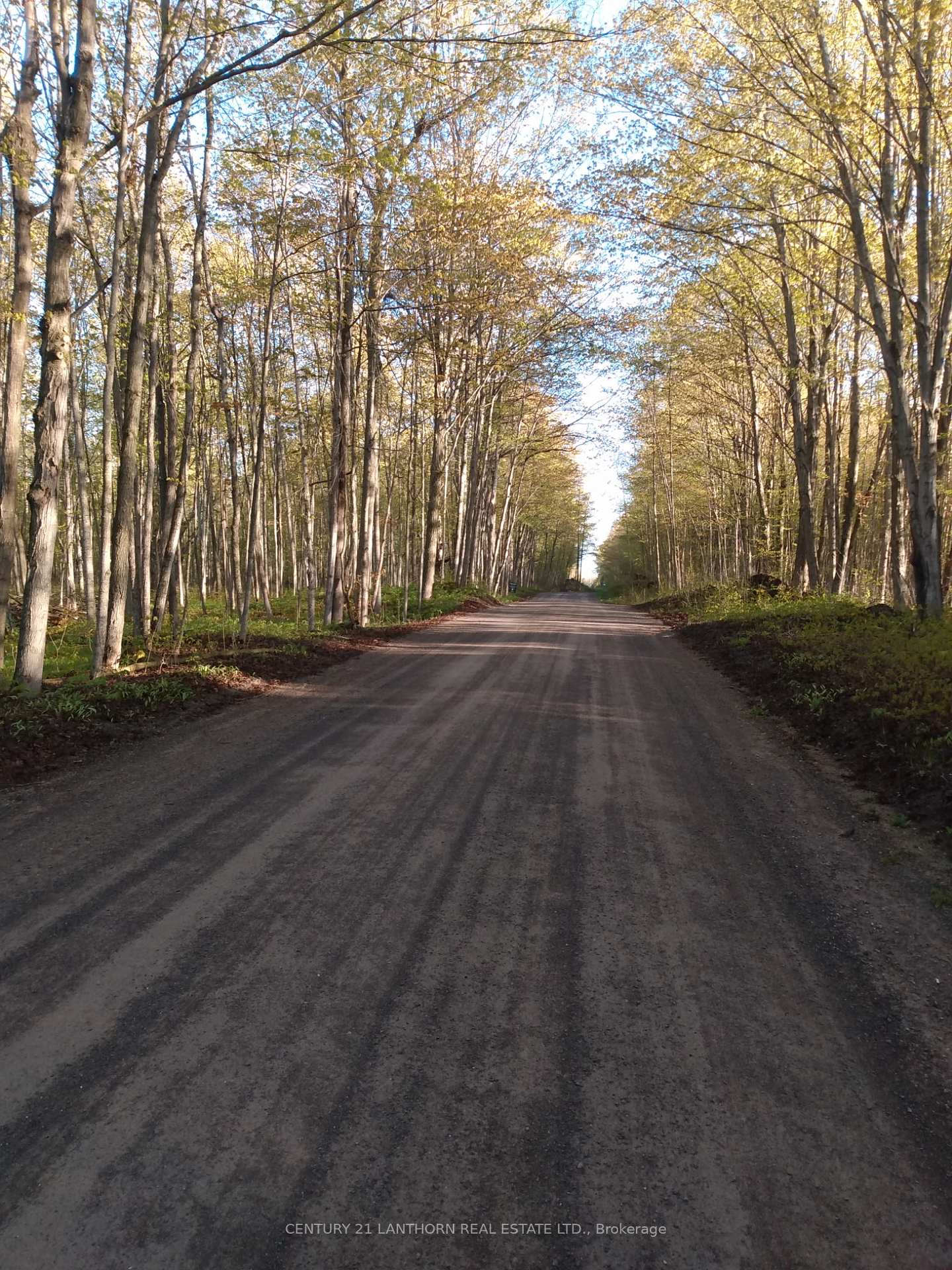 55 Post Road, Centre Hastings, On K0k 3h0