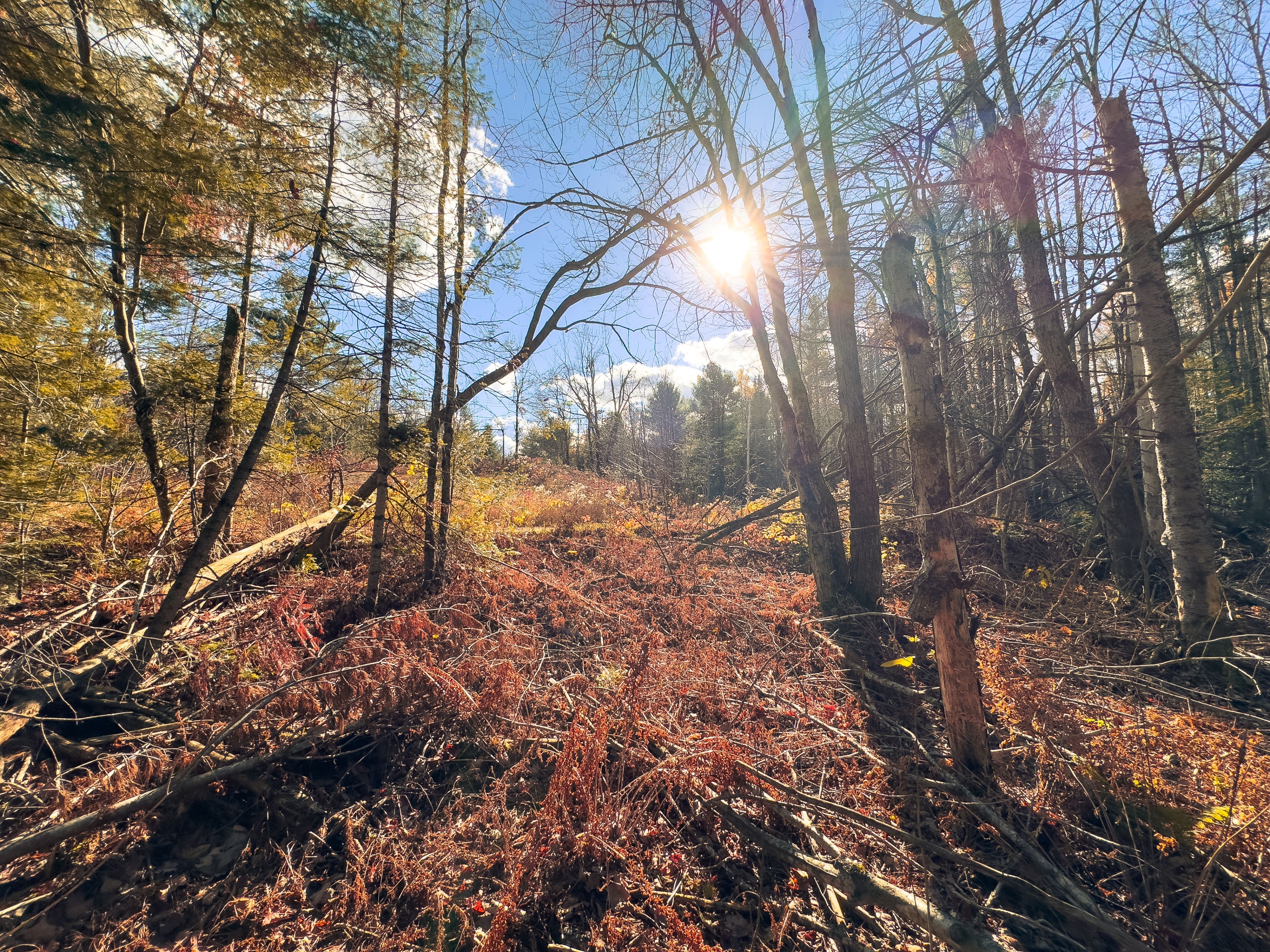 0 Weismuller Lane, Bracebridge, On P1p 1r3