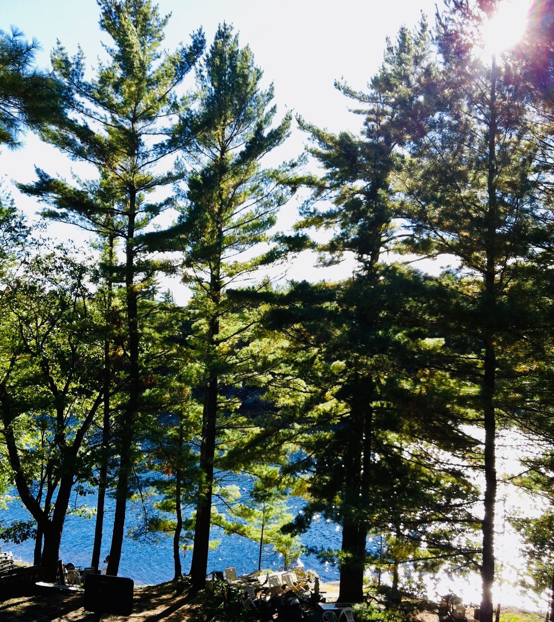 2 - 1112 Sam Cook Road, Gravenhurst, On P1p 1r3