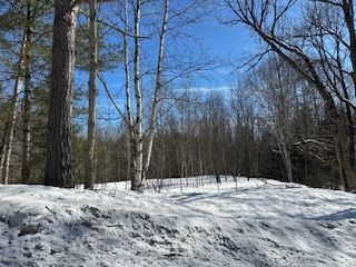 Part 6 Of Part Of Lot 18 Concession 9, Lake Of Bays, On P0b 1a0