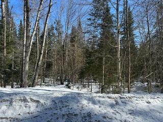 Part 7 Of Part Of Lot 18 Concession 9, Lake Of Bays, On P0b 1a0