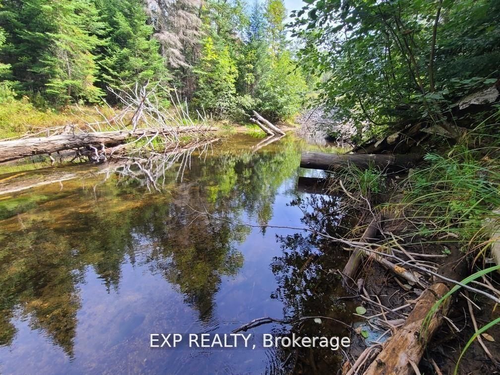 Pt Lt 8 Old Barry'S Bay Road, Madawaska Valley, On K0j 1l0