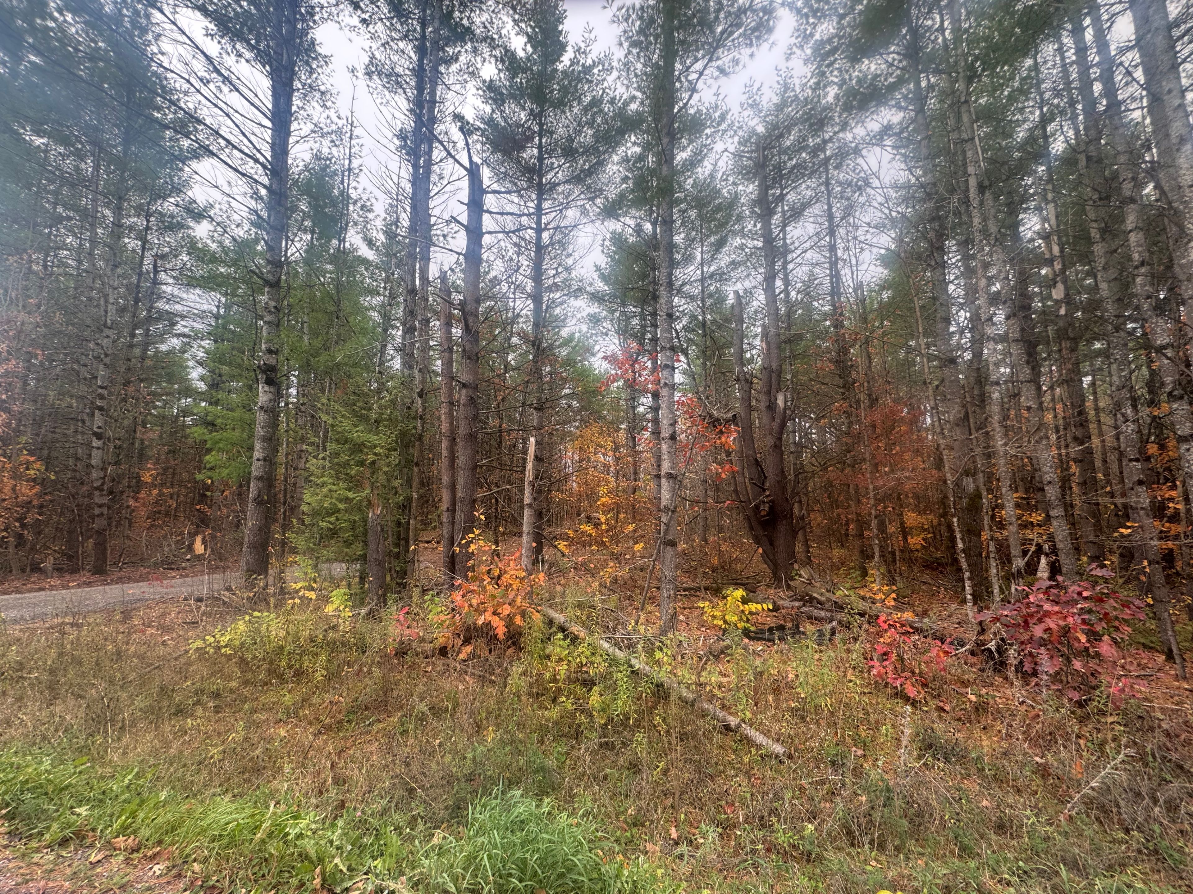 945 Shanick Road, Marmora And Lake, On K0k 2m0