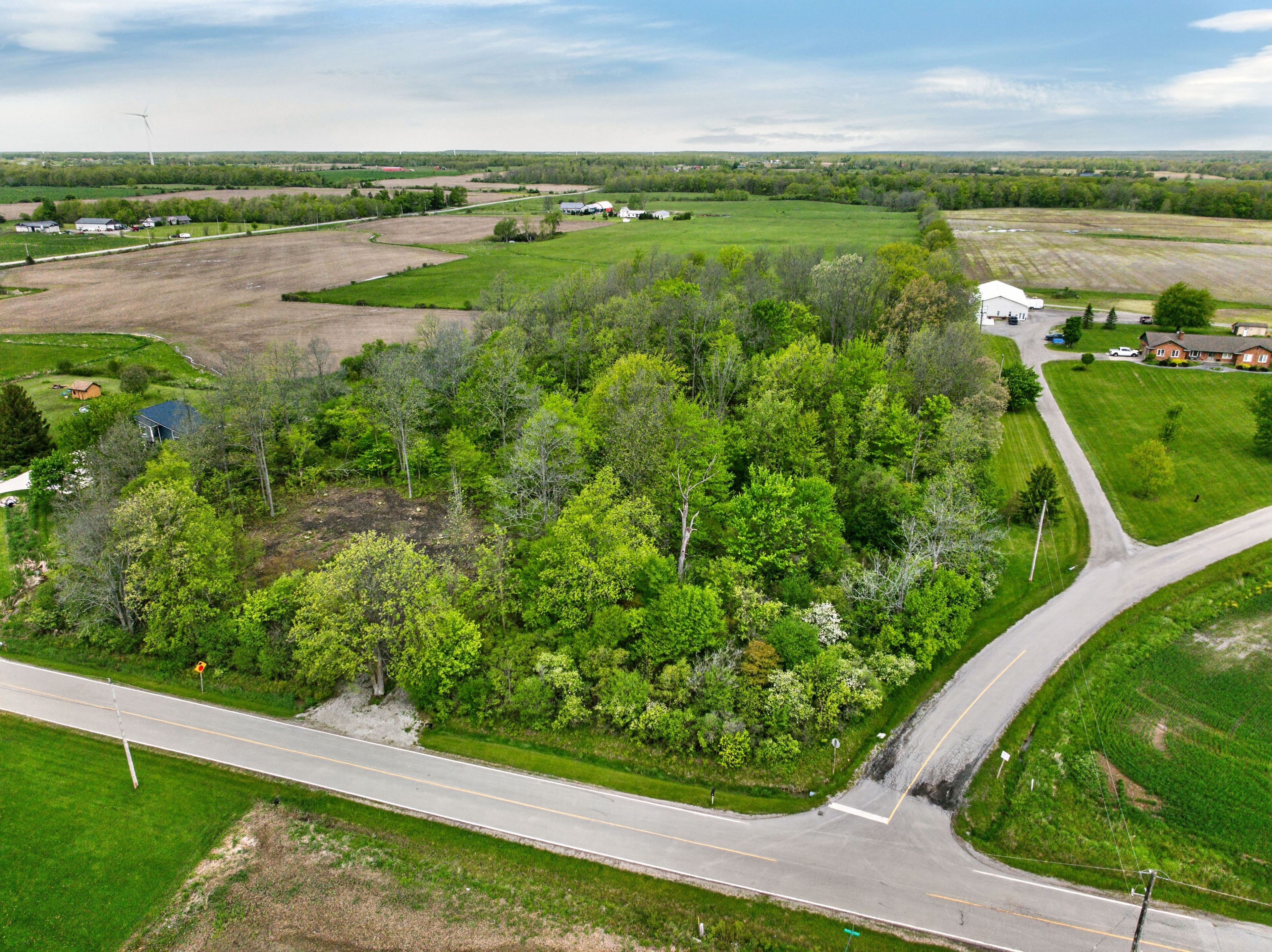 Pt S1/2 Lot 36 Link Road, Haldimand, On N0a 1e0