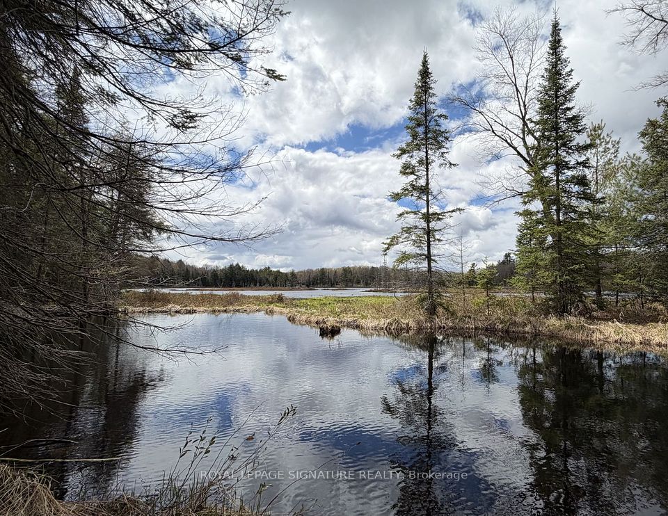 1170 Peter Road, Bracebridge, On P1l 1x3