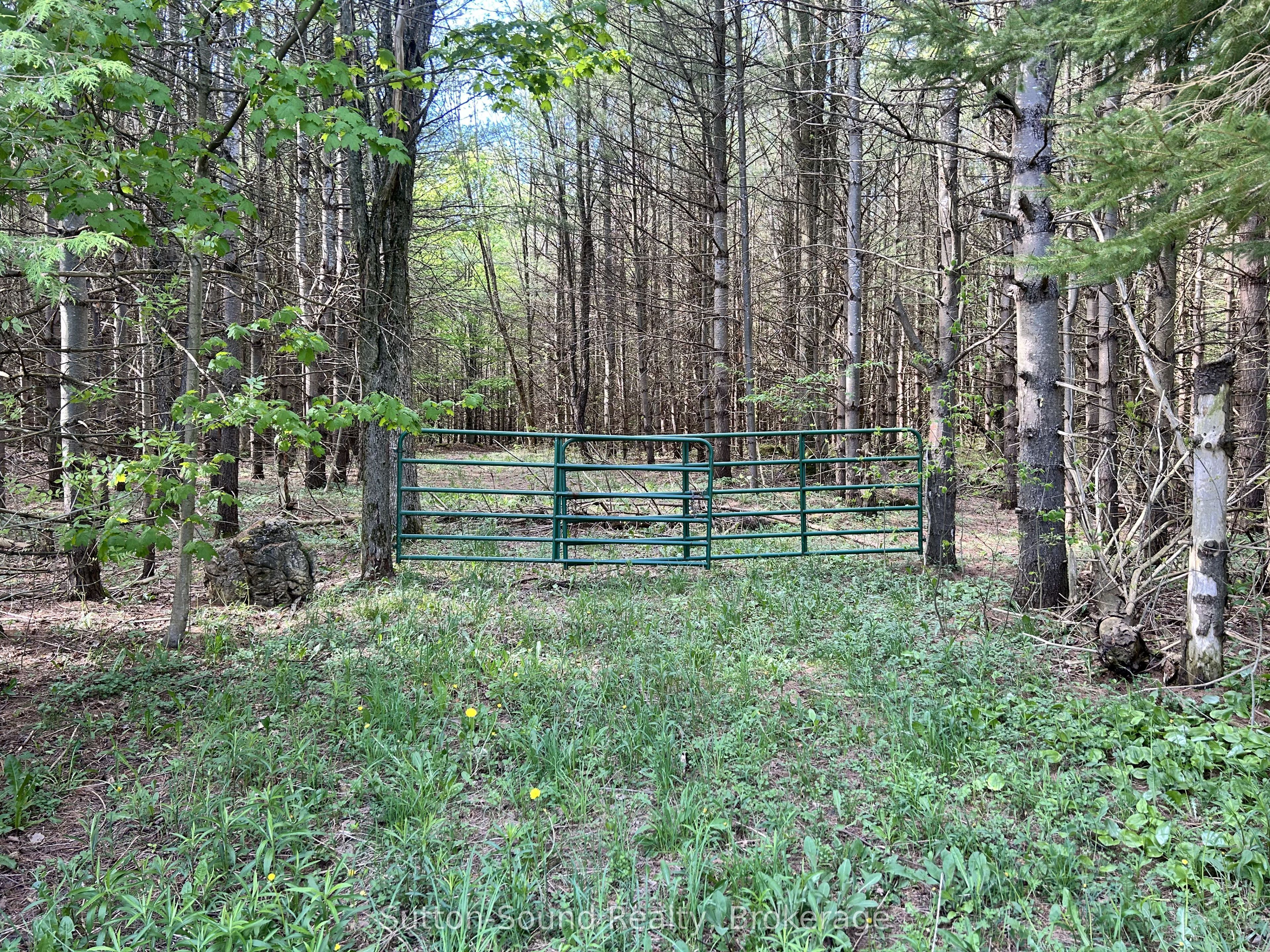 Lot 24 Concession 14 Keppel Concession, Georgian Bluffs, On N0h 2k0