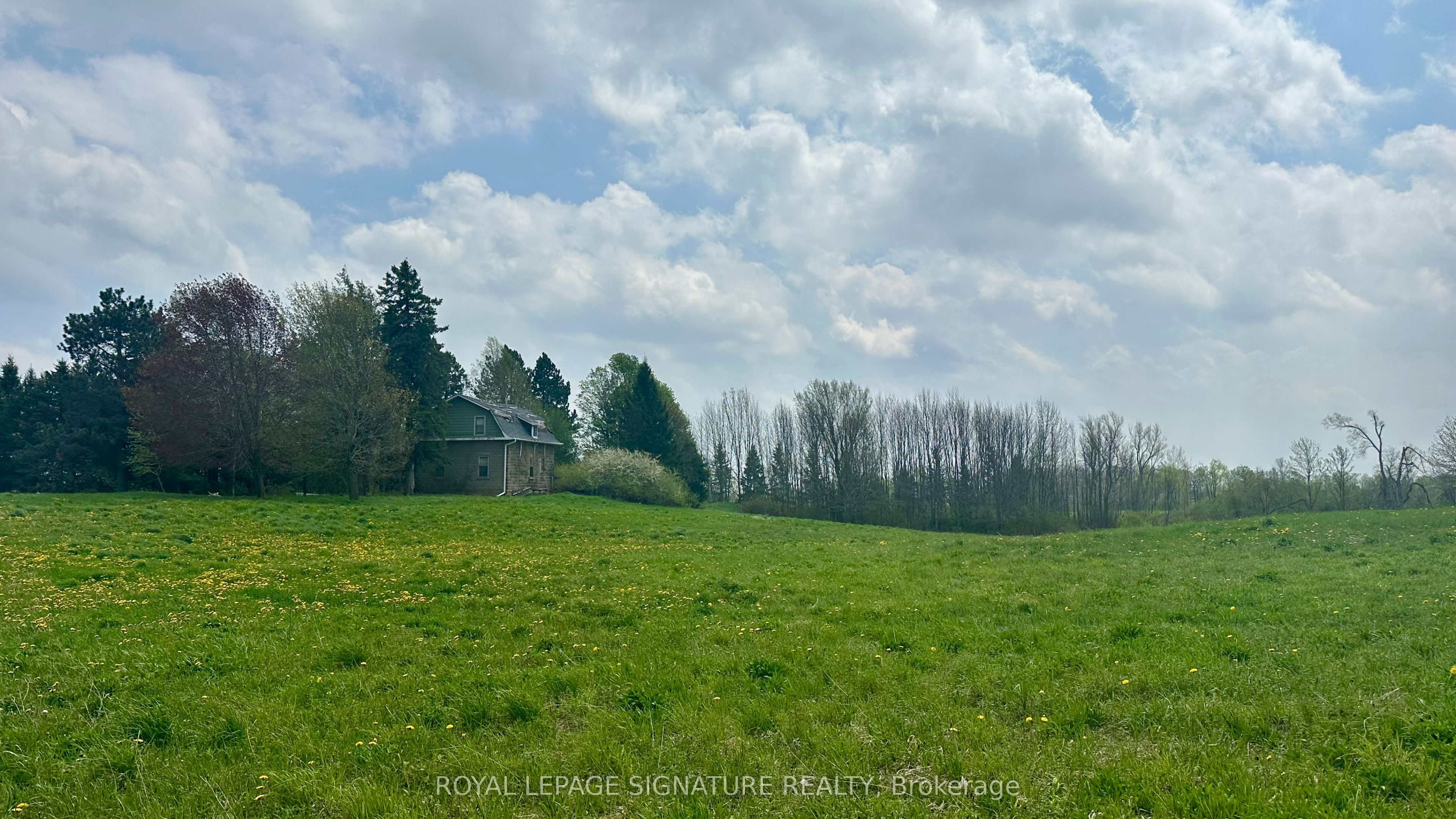 196300 Grey Road 7 Road, Grey Highlands, On N4l 1w7