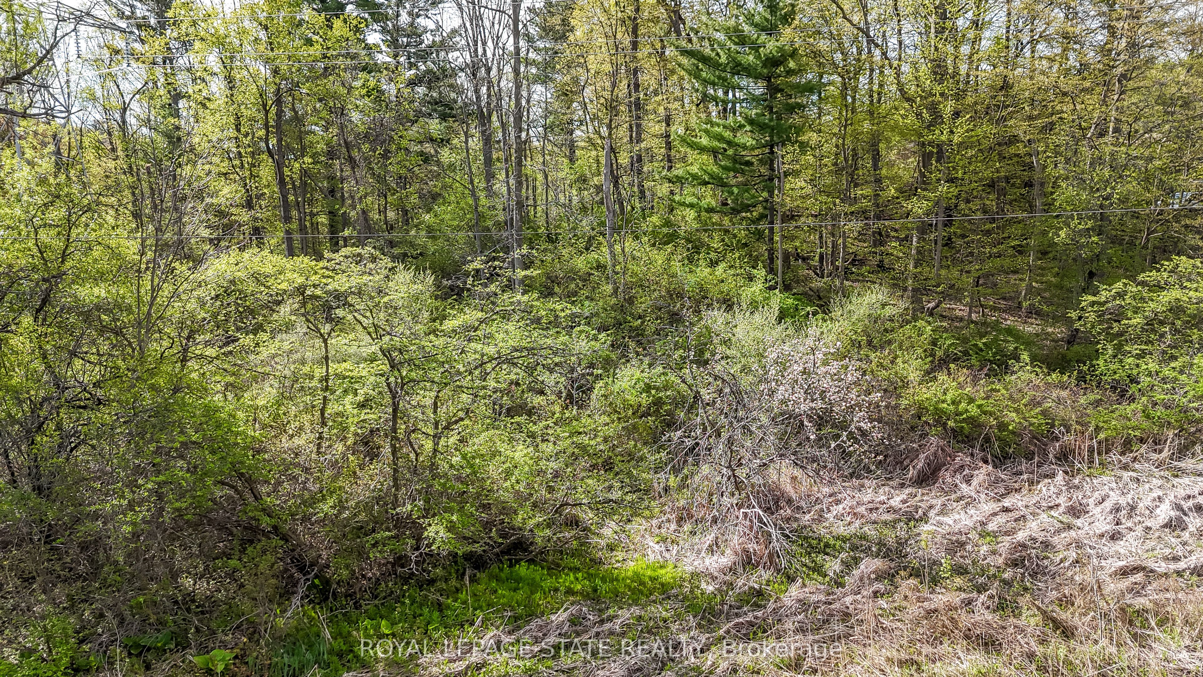 0 Mineral Springs Road, Hamilton, On L9g 4x1