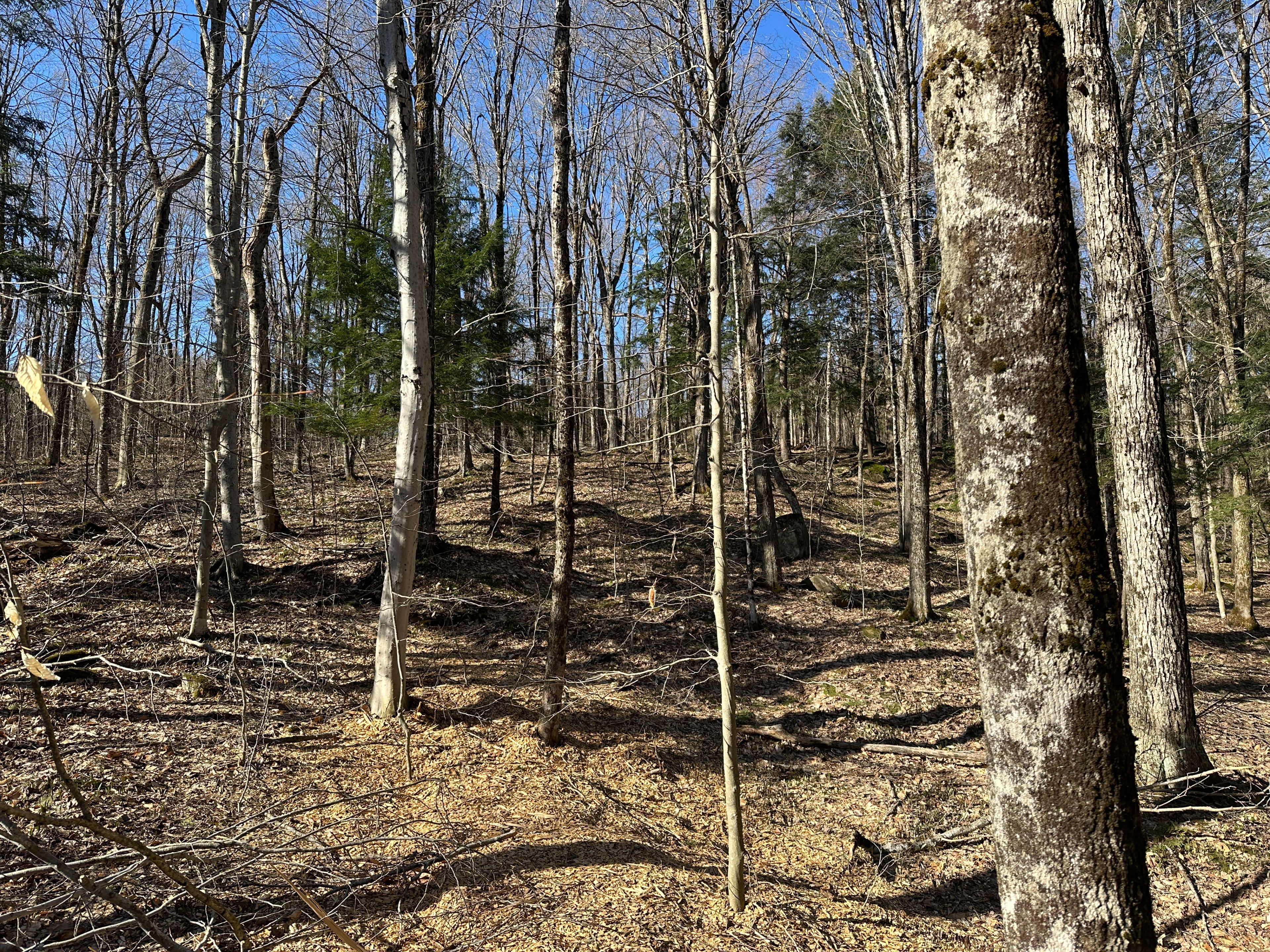 Con 1 Pt Lot 12 Barlochan Road, Muskoka Lakes, On P1p 1r2